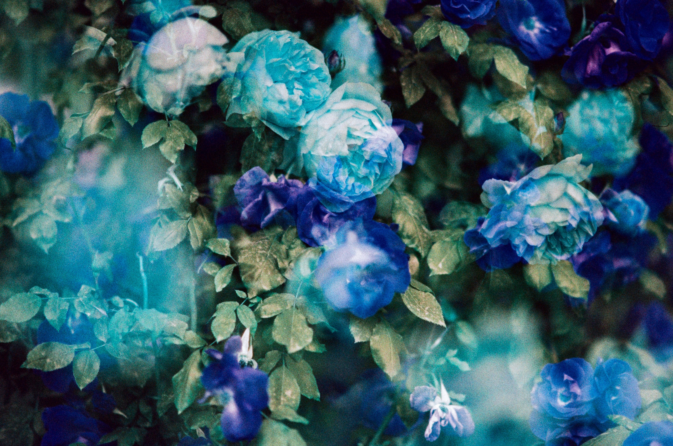 Pain shopping // ukraine, crimea VII. EVER EXPOSED