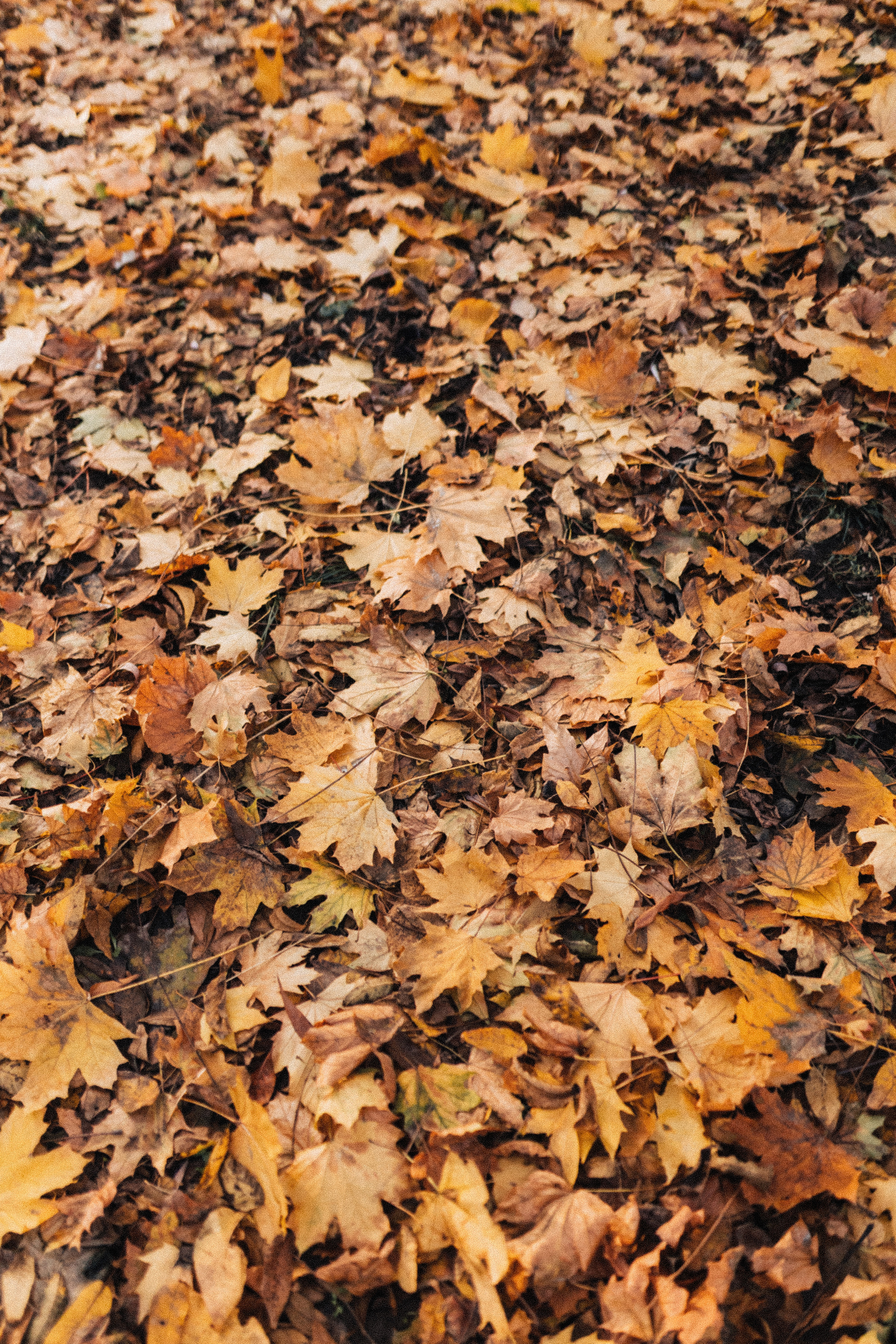 Даша/тетя Оля. Фотограф в Москве Татьяна Сергеева