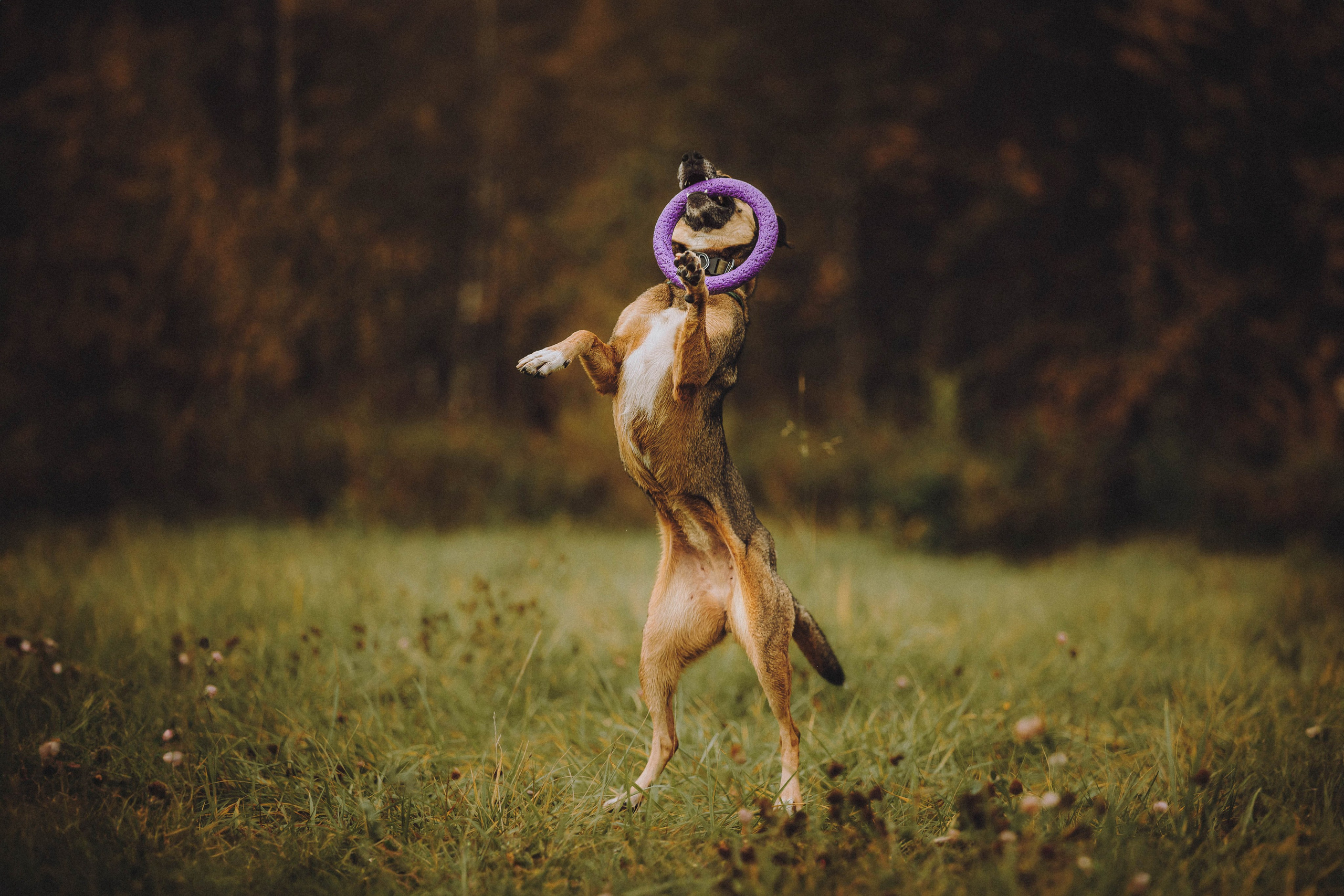 Аня, Нео и Луна