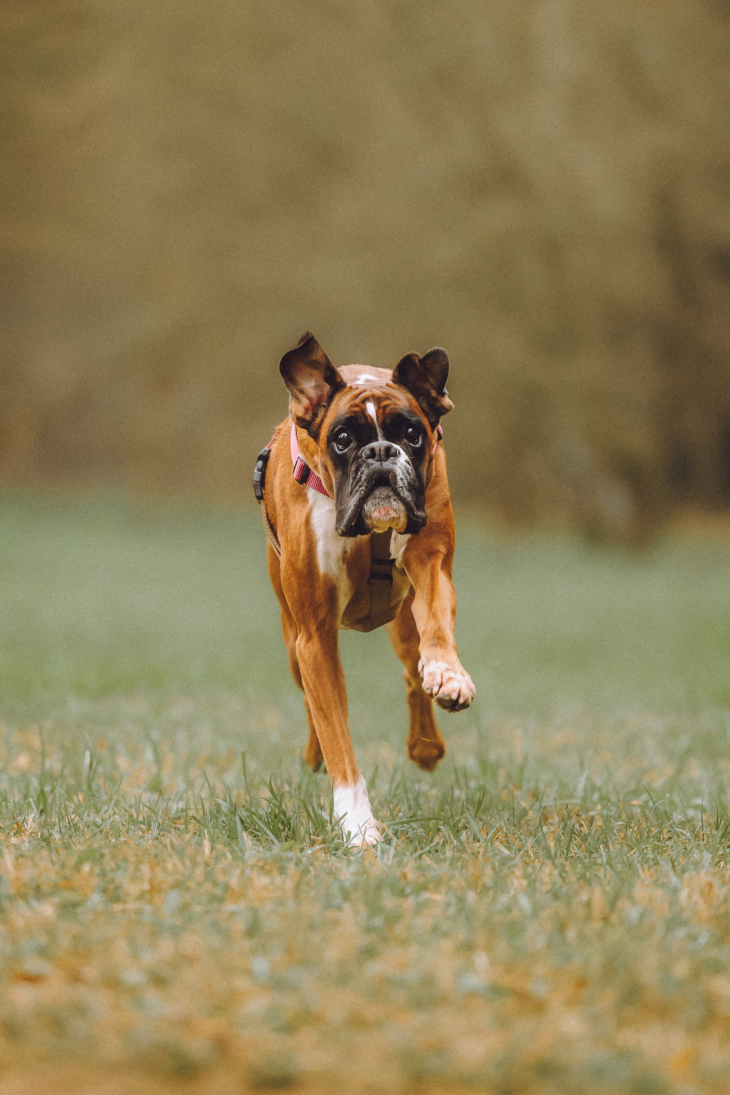 Элли и ее семья