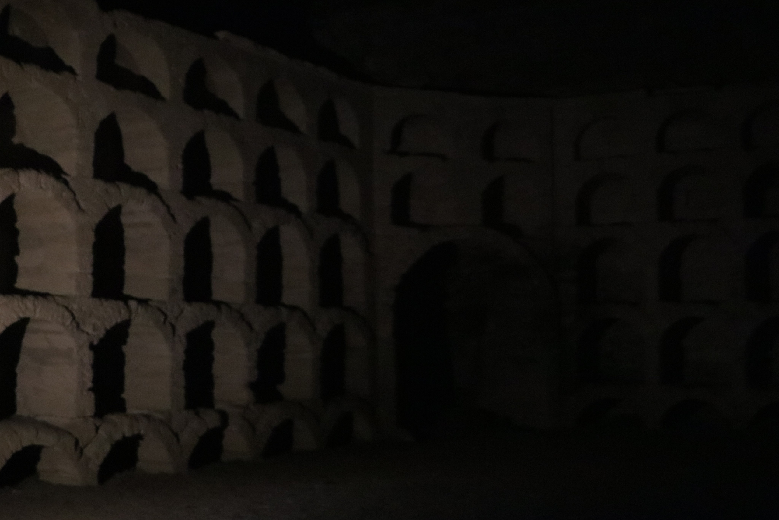 Крым. ЮБК (Гурзуф, Судак и их окрестности). Ноябрь 2023. Путешественник-фотограф из Санкт-Петербурга Татьяна Свистулина