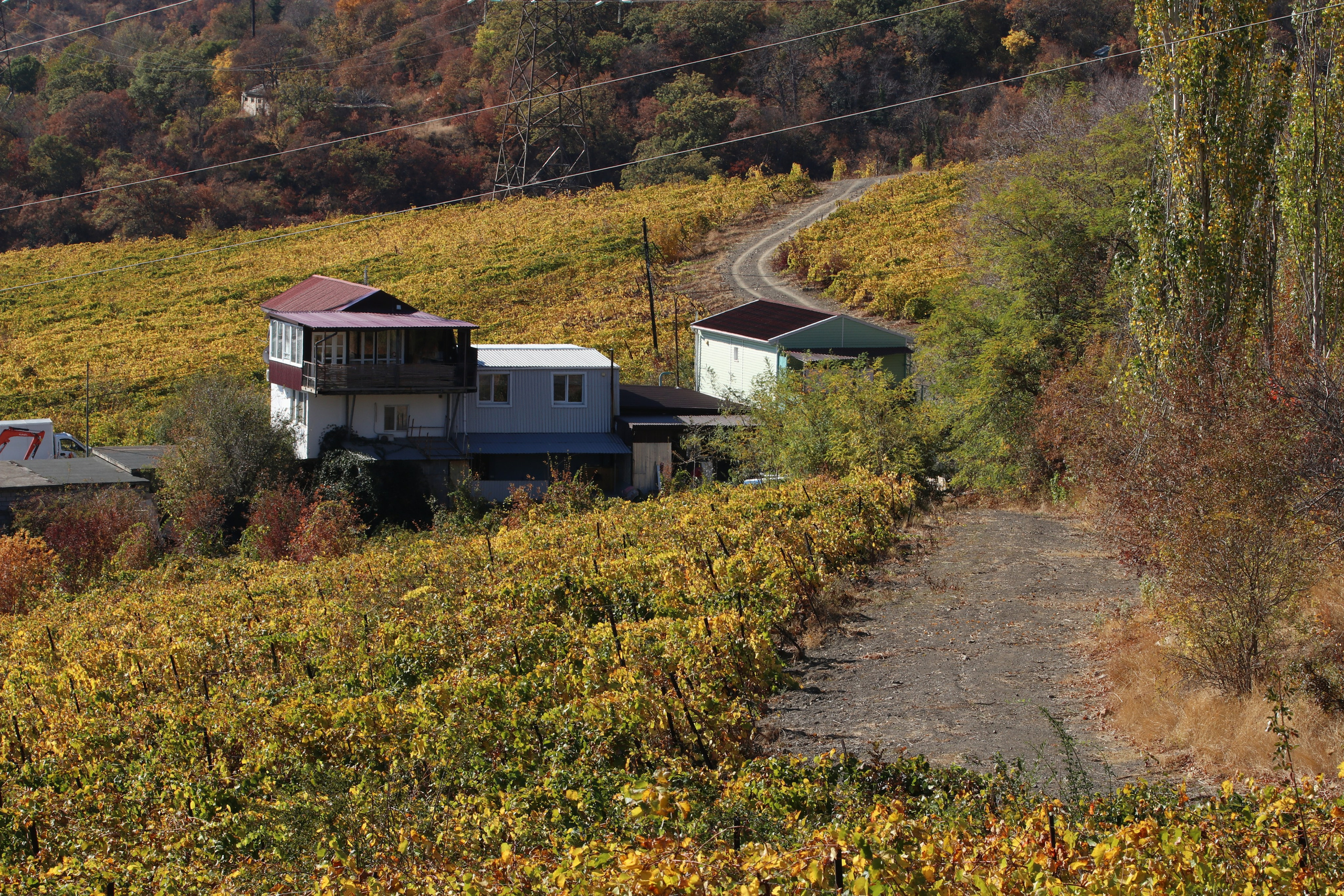 Крым. ЮБК (Гурзуф, Судак и их окрестности). Ноябрь 2023. Путешественник-фотограф из Санкт-Петербурга Татьяна Свистулина
