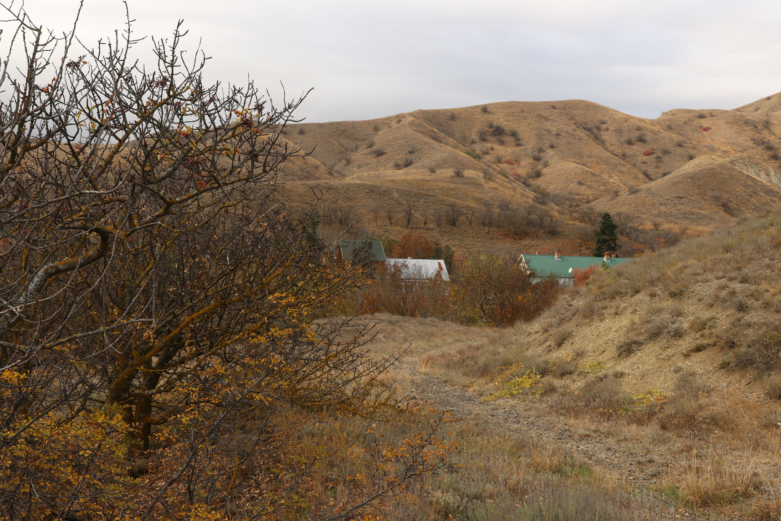 Крым. ЮБК (Гурзуф, Судак и их окрестности). Ноябрь 2023. Путешественник-фотограф из Санкт-Петербурга Татьяна Свистулина