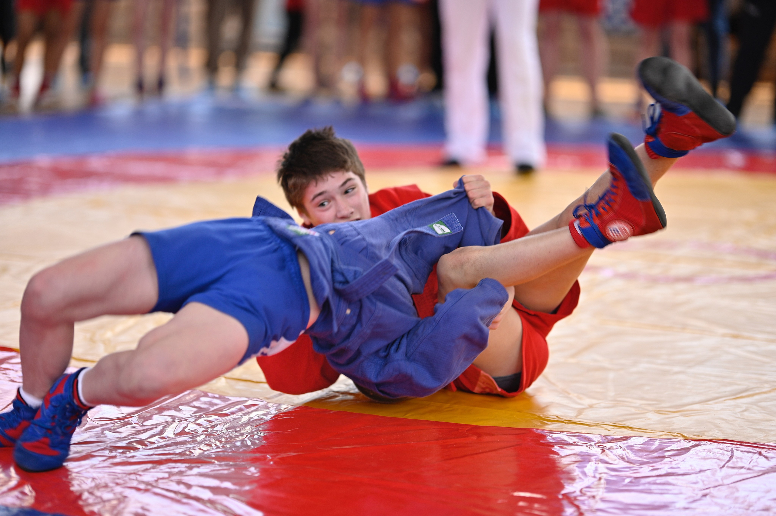 Самбо. Фотограф Ваших событий 📸