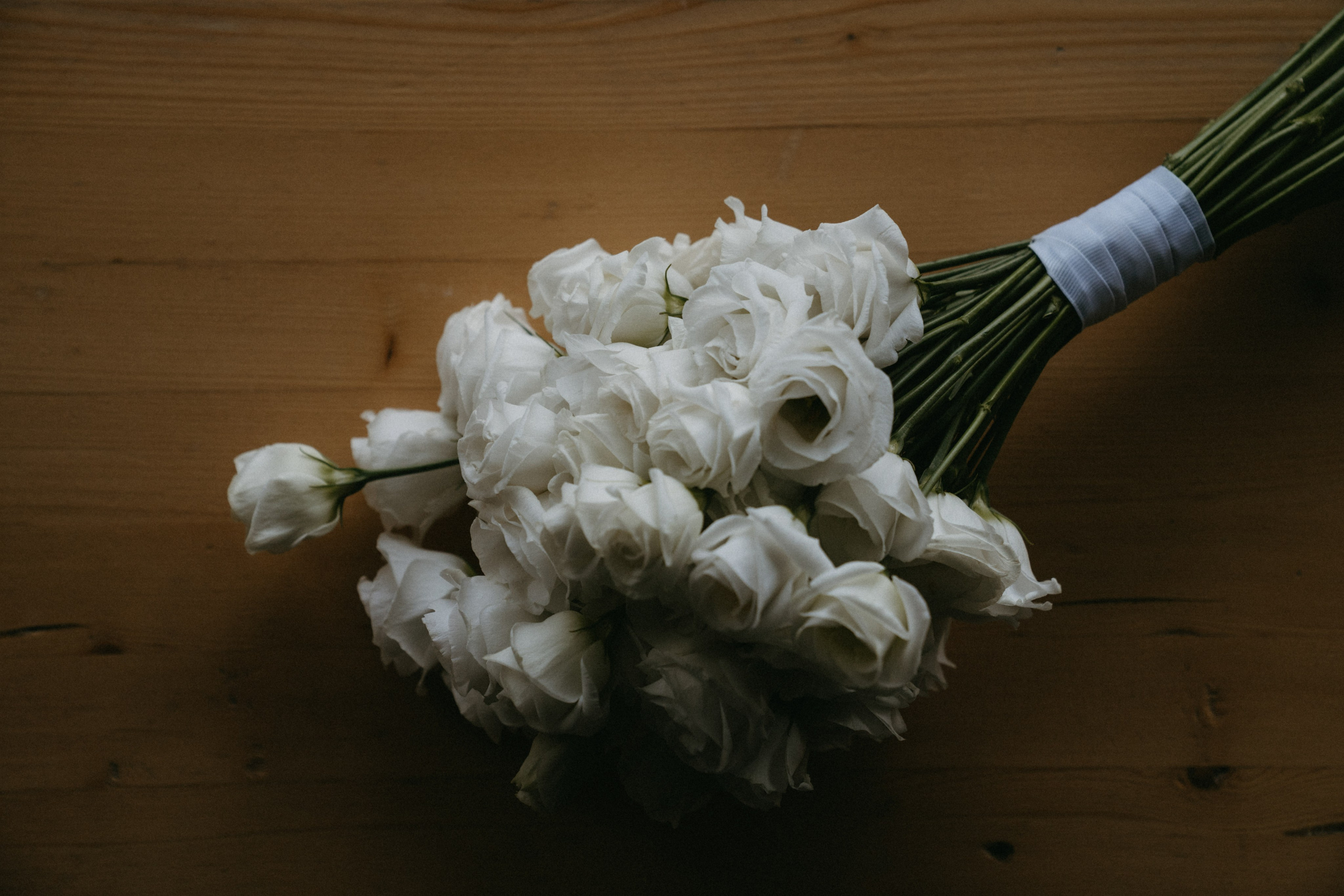 4/08/23. Фотограф Наталья Шелест