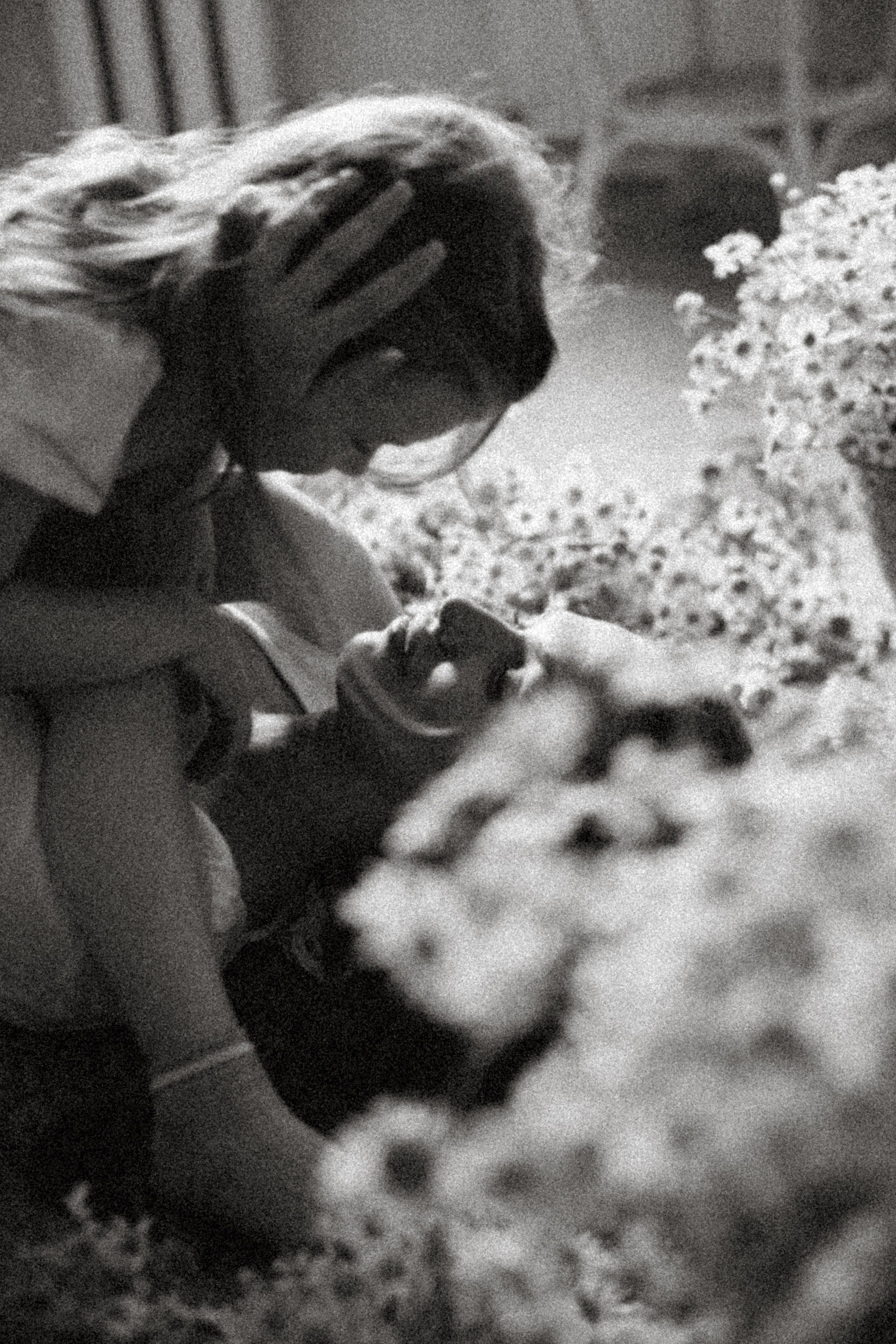 Лисята. Фотограф НатаФото (Наталья Яковенко) Дмитров Москва Питер