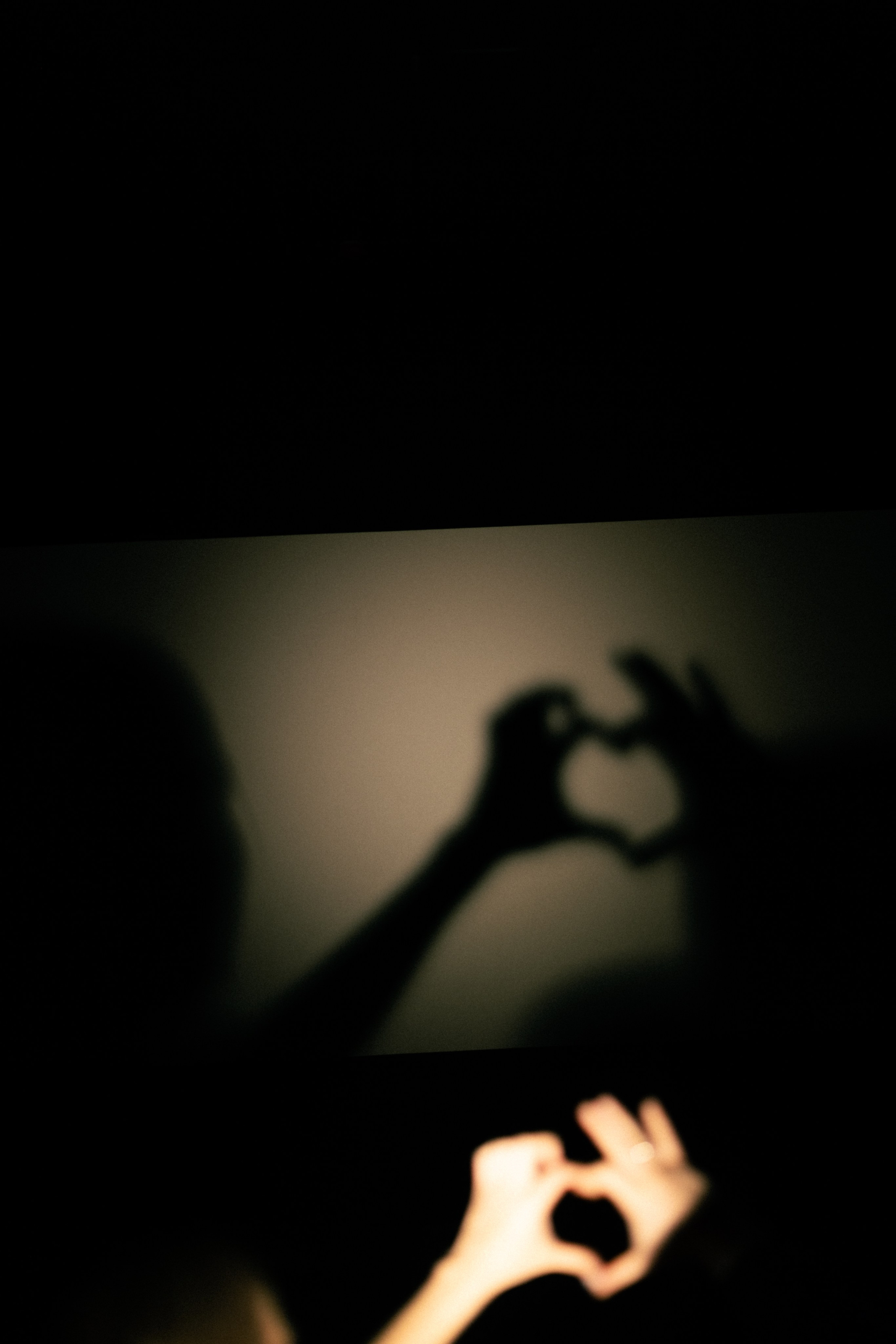 Кино. Фотограф НатаФото (Наталья Яковенко) Дмитров Москва Питер