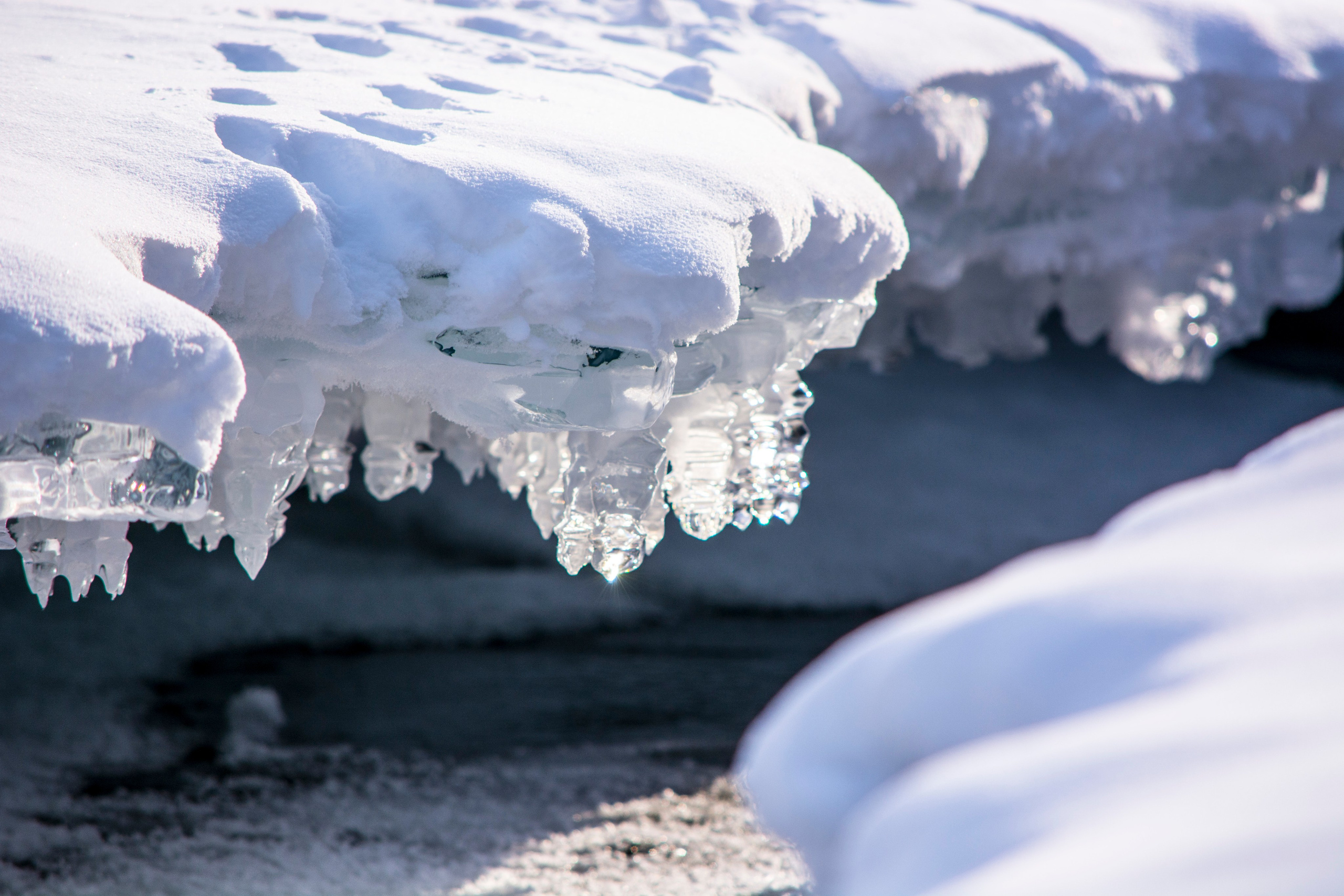 Природа в фотографии, взгляд на прекрасное через объектив фотоаппарата. Елена Волкова семейный фотограф в станице Гостагаевской города-курорта Анапа