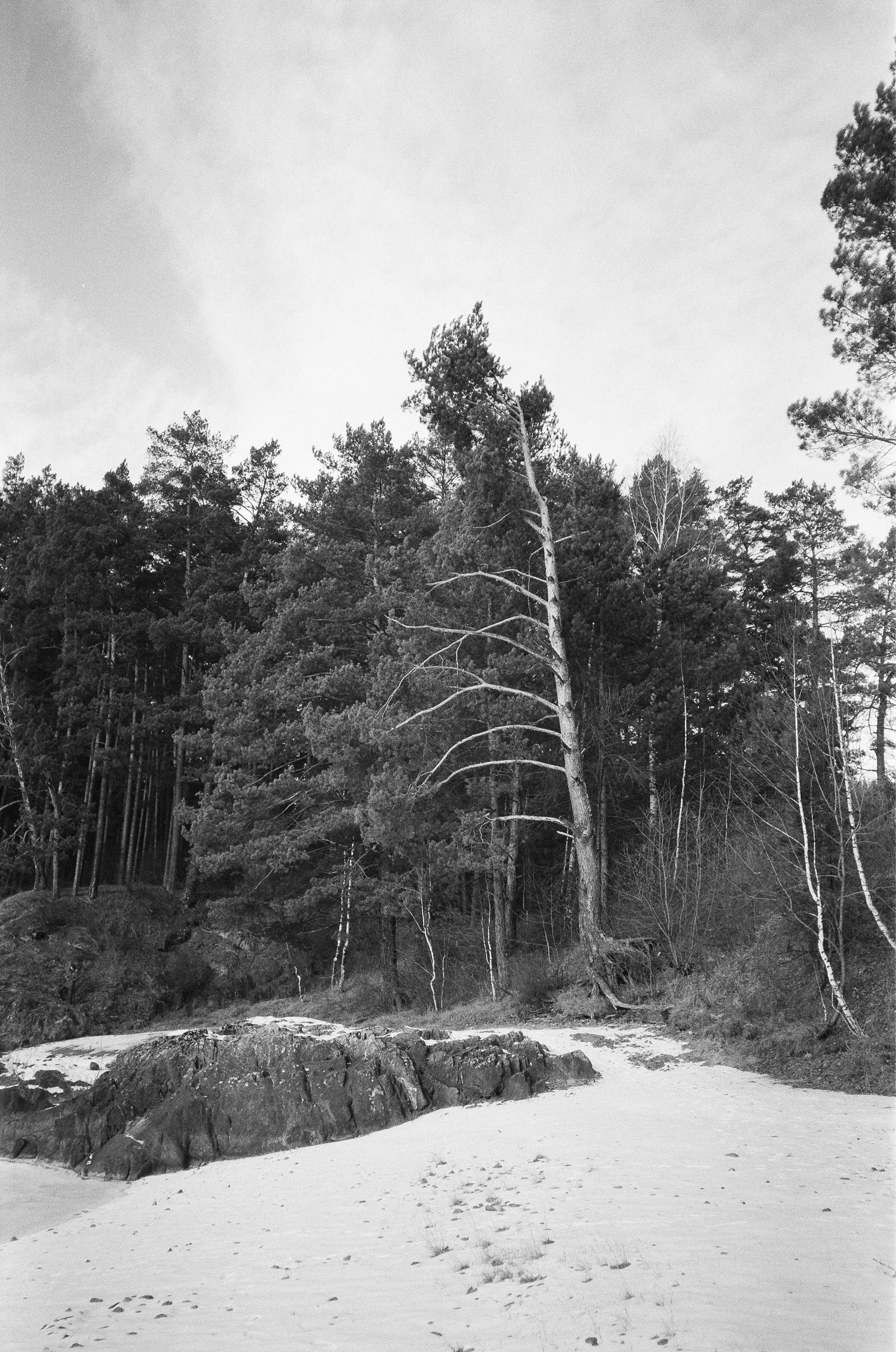 От Кызыл-Таш до Силы Алтая по Чемальскому тракту. Фотограф-документалист Мария Осокина