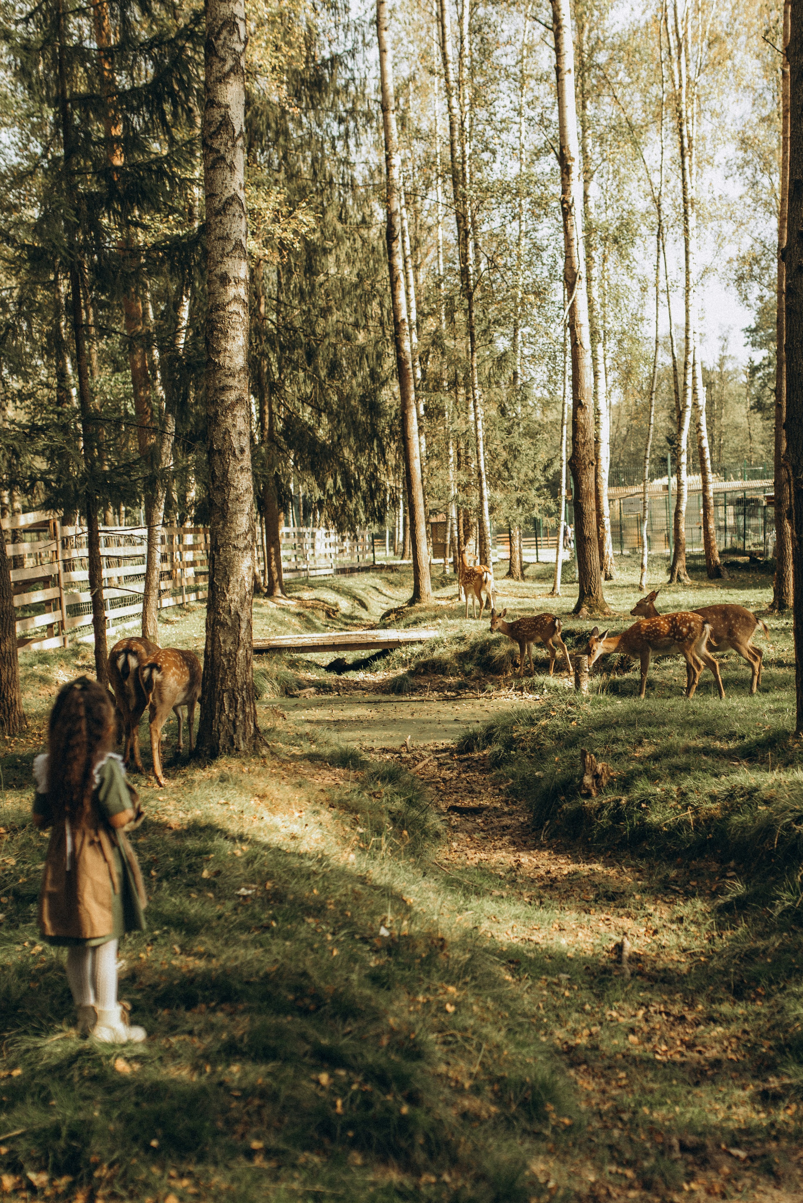 Прогулка к оленям. Семейный фотограф в Москве Екатерина Север