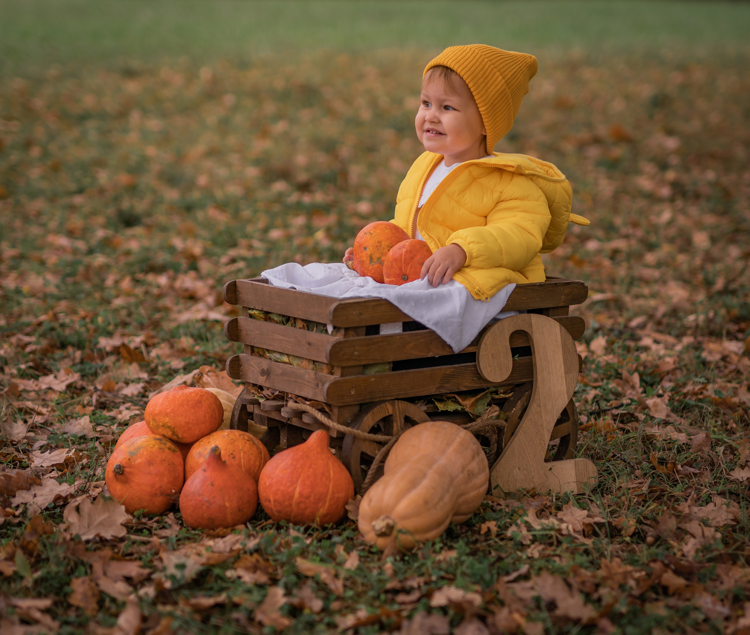 Осенняя история. Семейный фотограф Ефремова Виктория