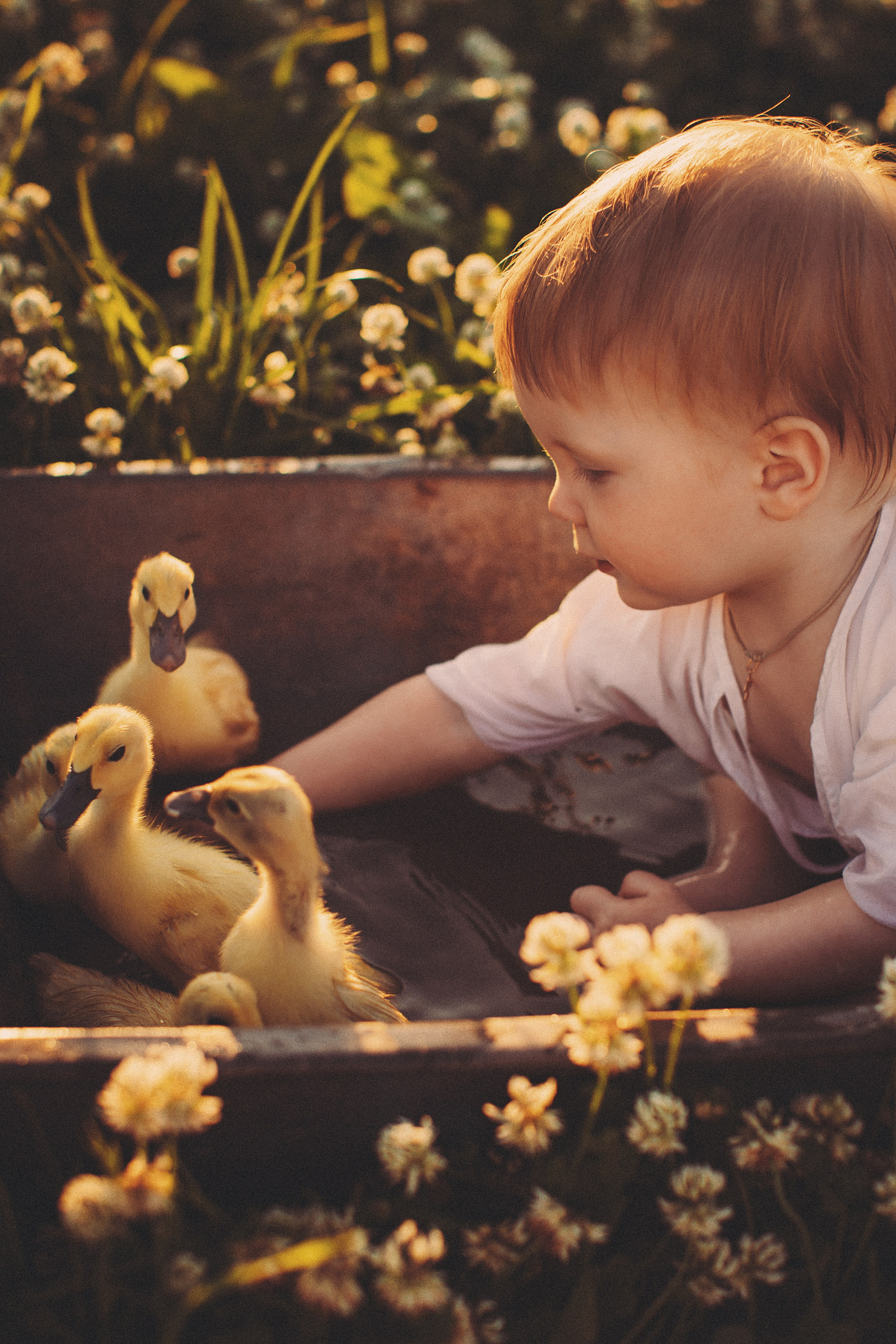 Семейный фотограф Любовь Аверина в Иваново