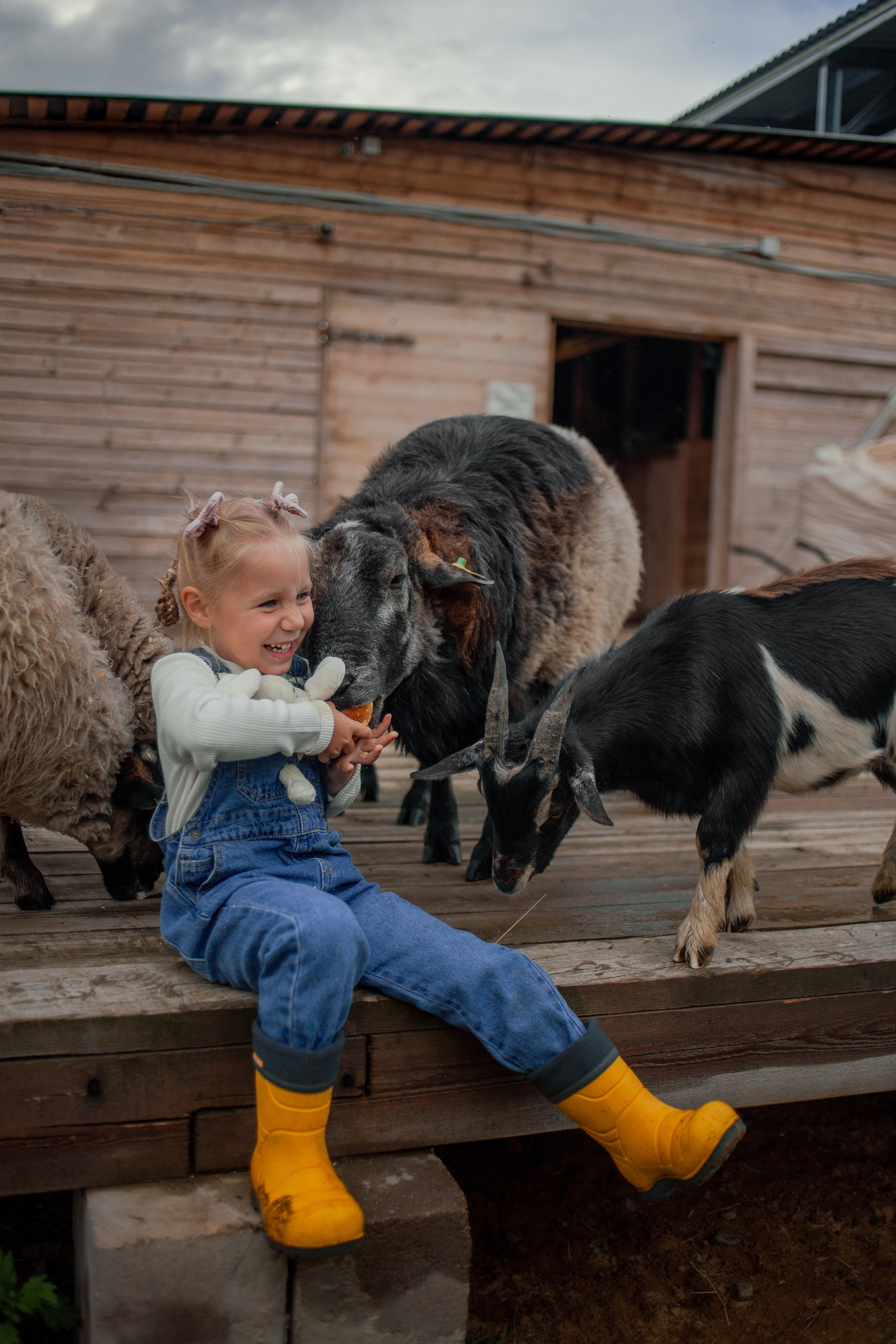 Детская фотосессия на ферме в СПб