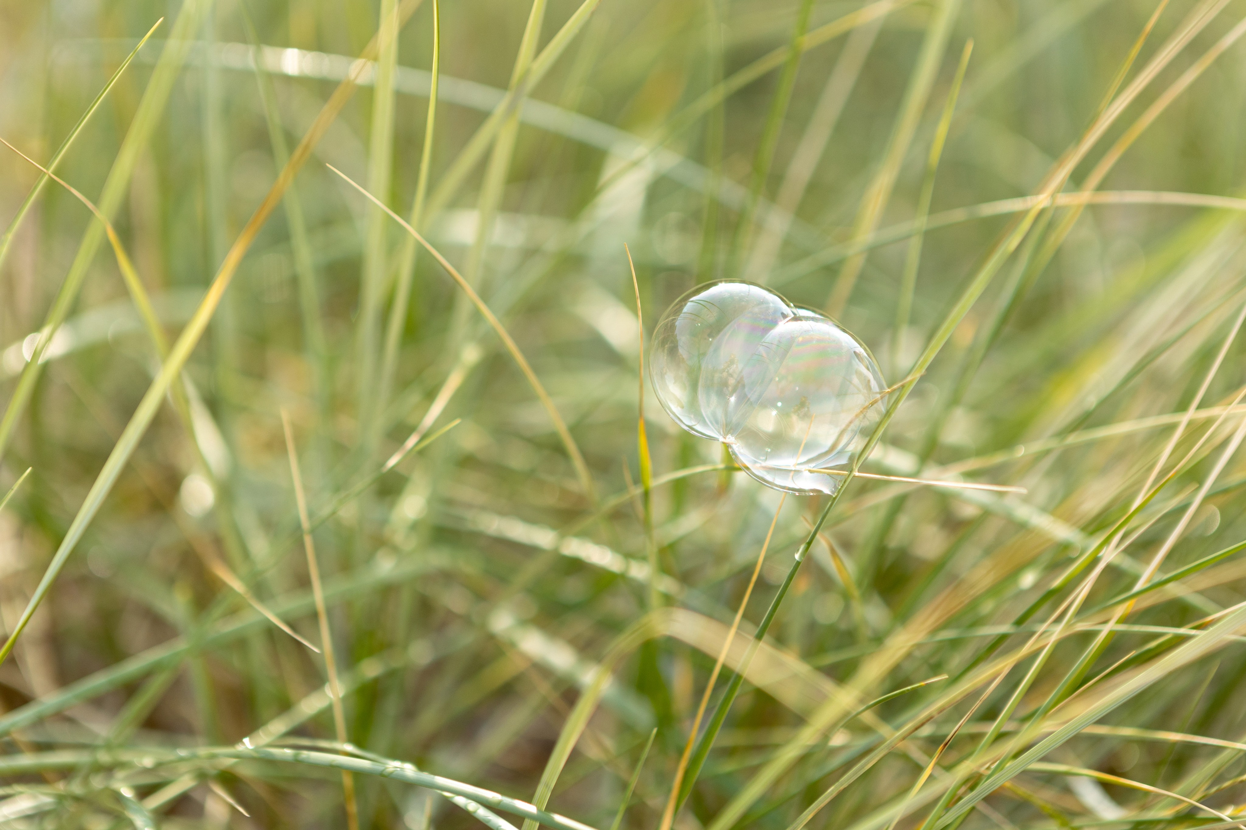 Туристы из Якутии — Янтарный. Семейный фотограф в Калининграде Никазакова Ольга