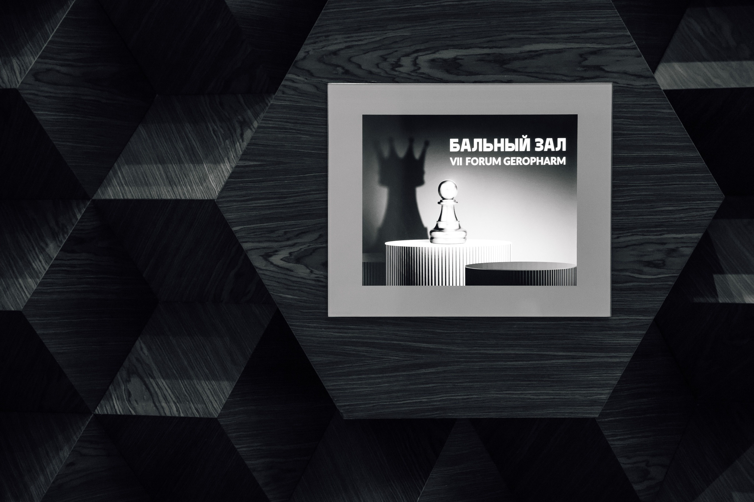 Geropharm VII Forum. Reportage photographer Vlad Shishkin