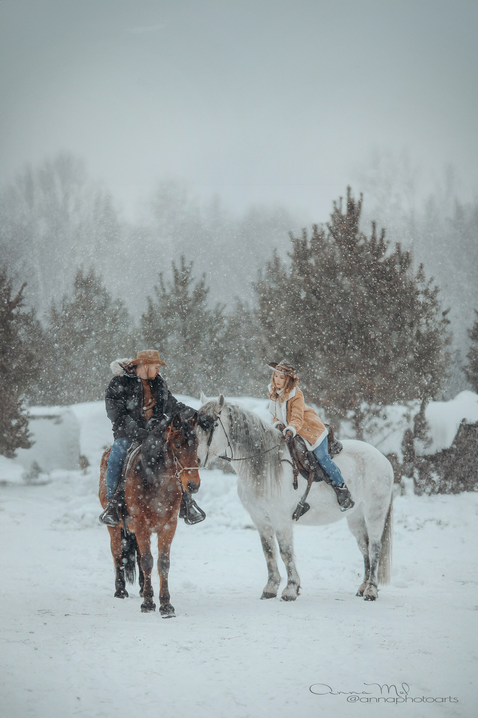 Снежная история. Анна Молчанова конный фотограф в Тюмени | фотосессии с лошадьми Тюмень