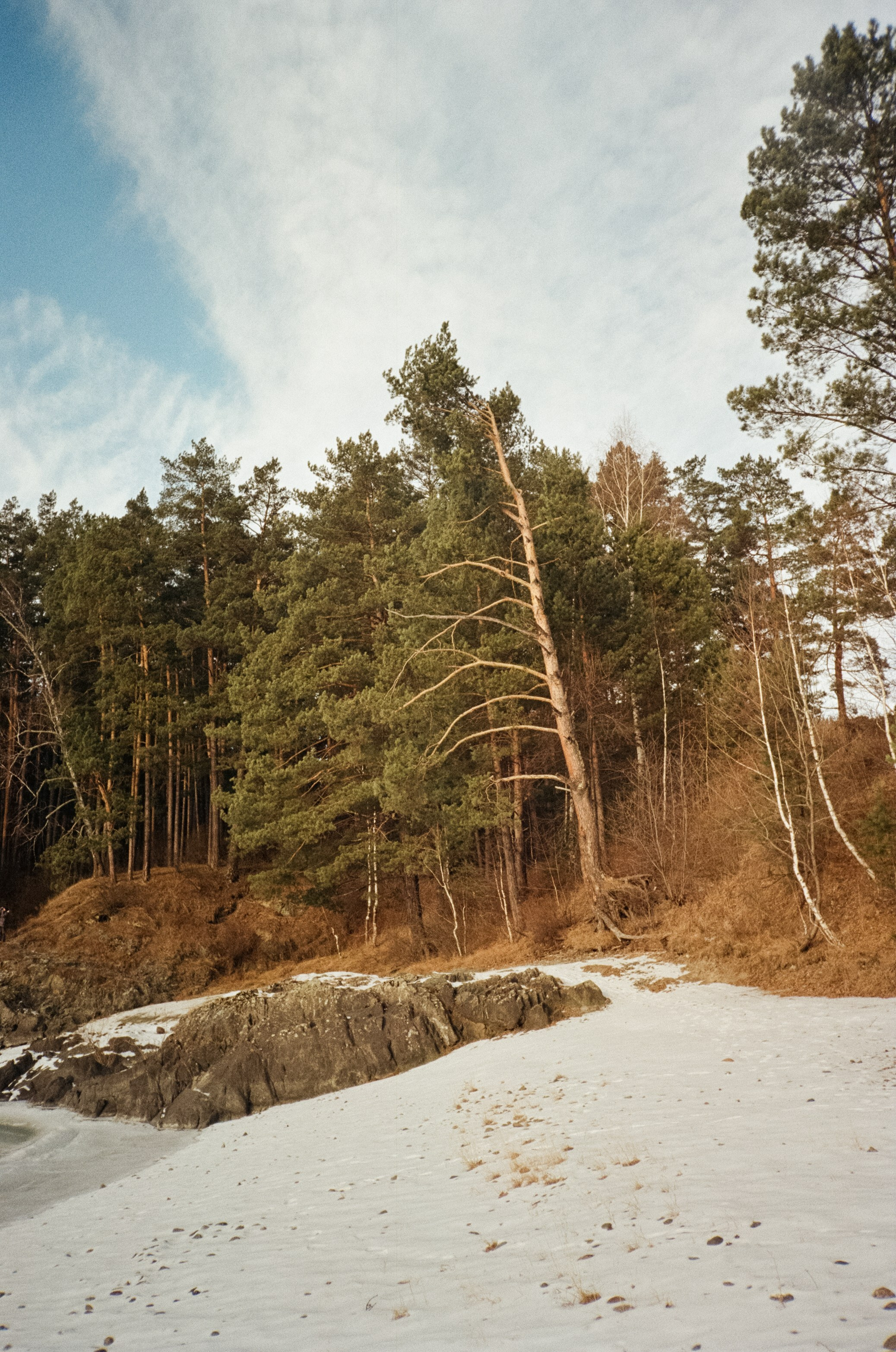 От Кызыл-Таша до Чемала. Техас, горы, поля и коровы. Фотограф-документалист Мария Осокина