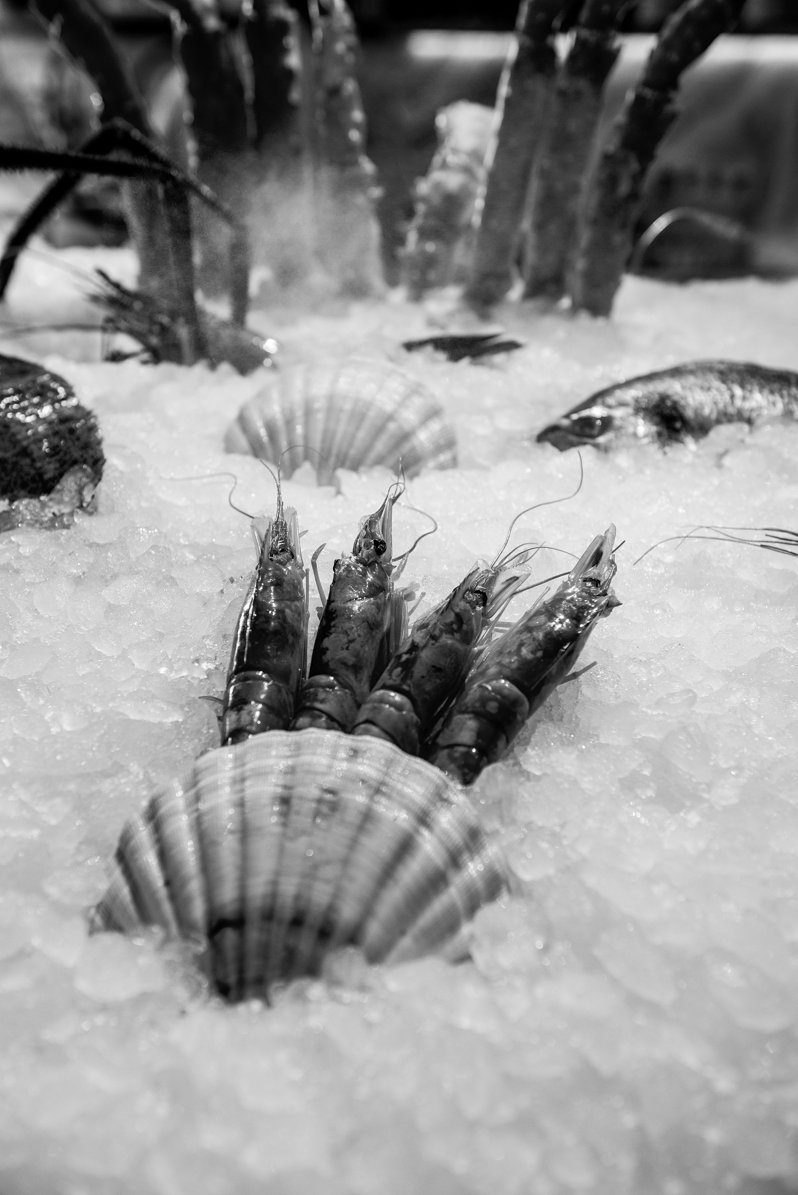 Усадьба Третьякова/ ресторан Аврора. Фотограф, визажист. Москва