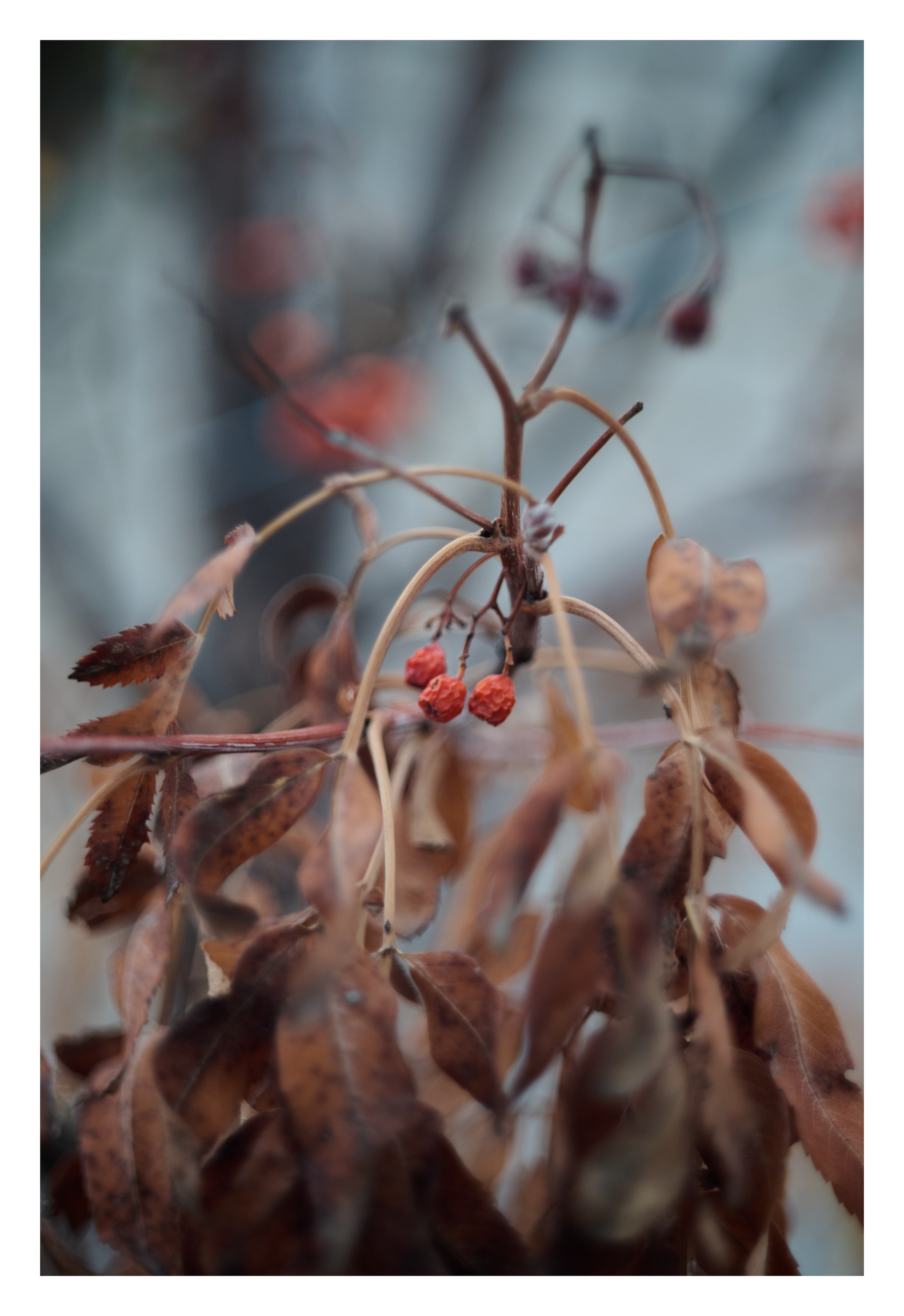 Фотопринты А3. Фотопроект «Территории»