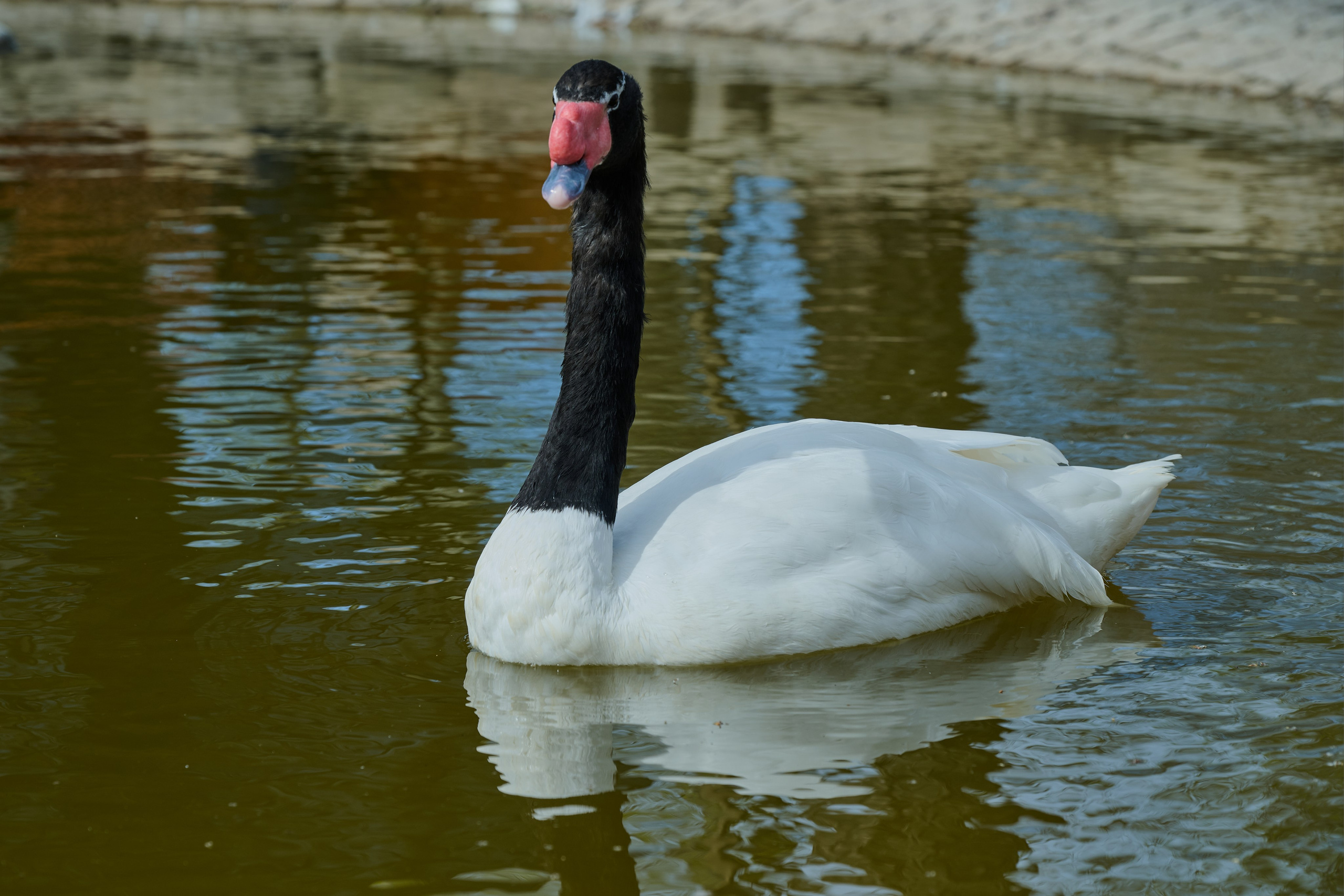 Мелитополь. Фотопроект «Территории»