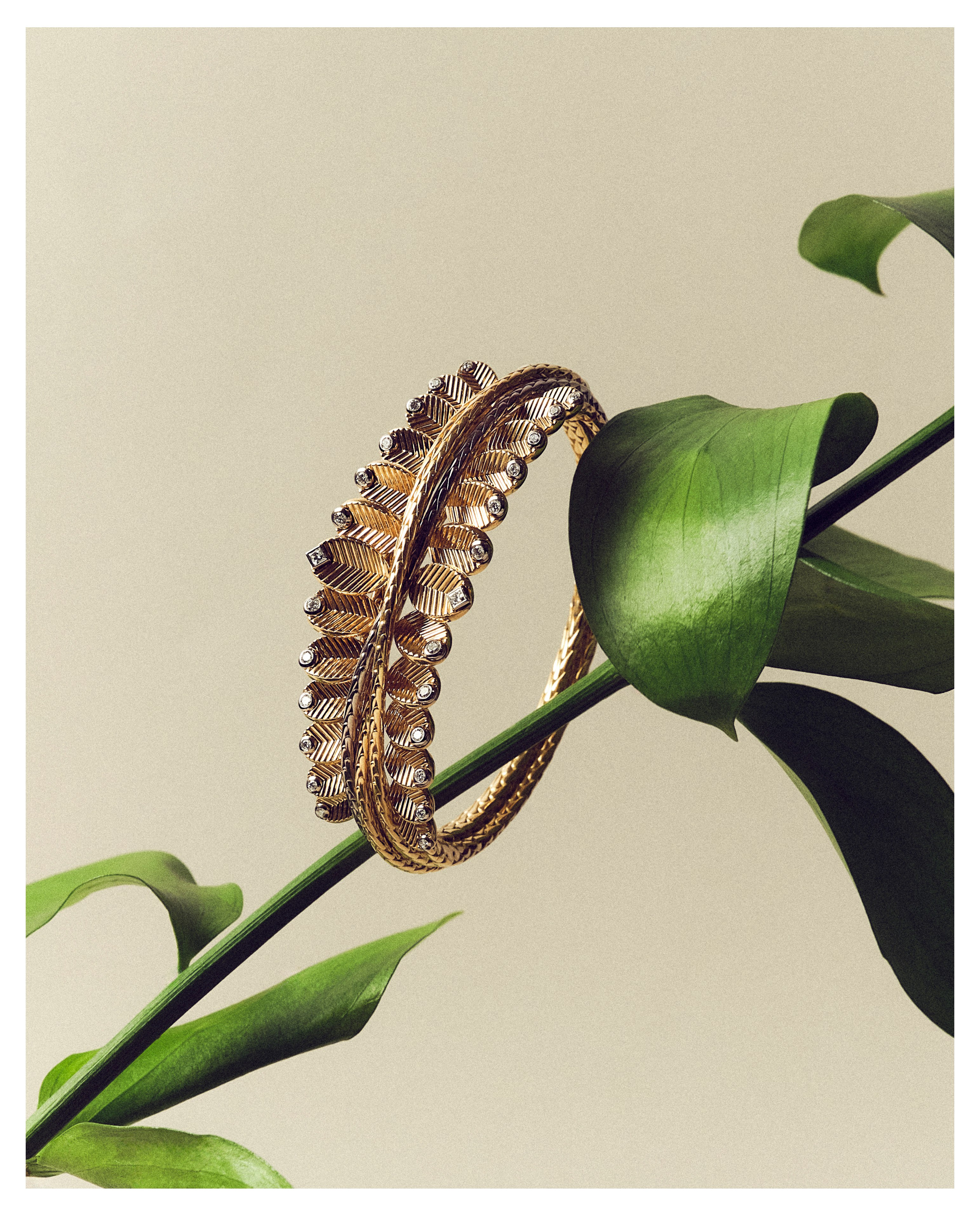 Still life. Photographer