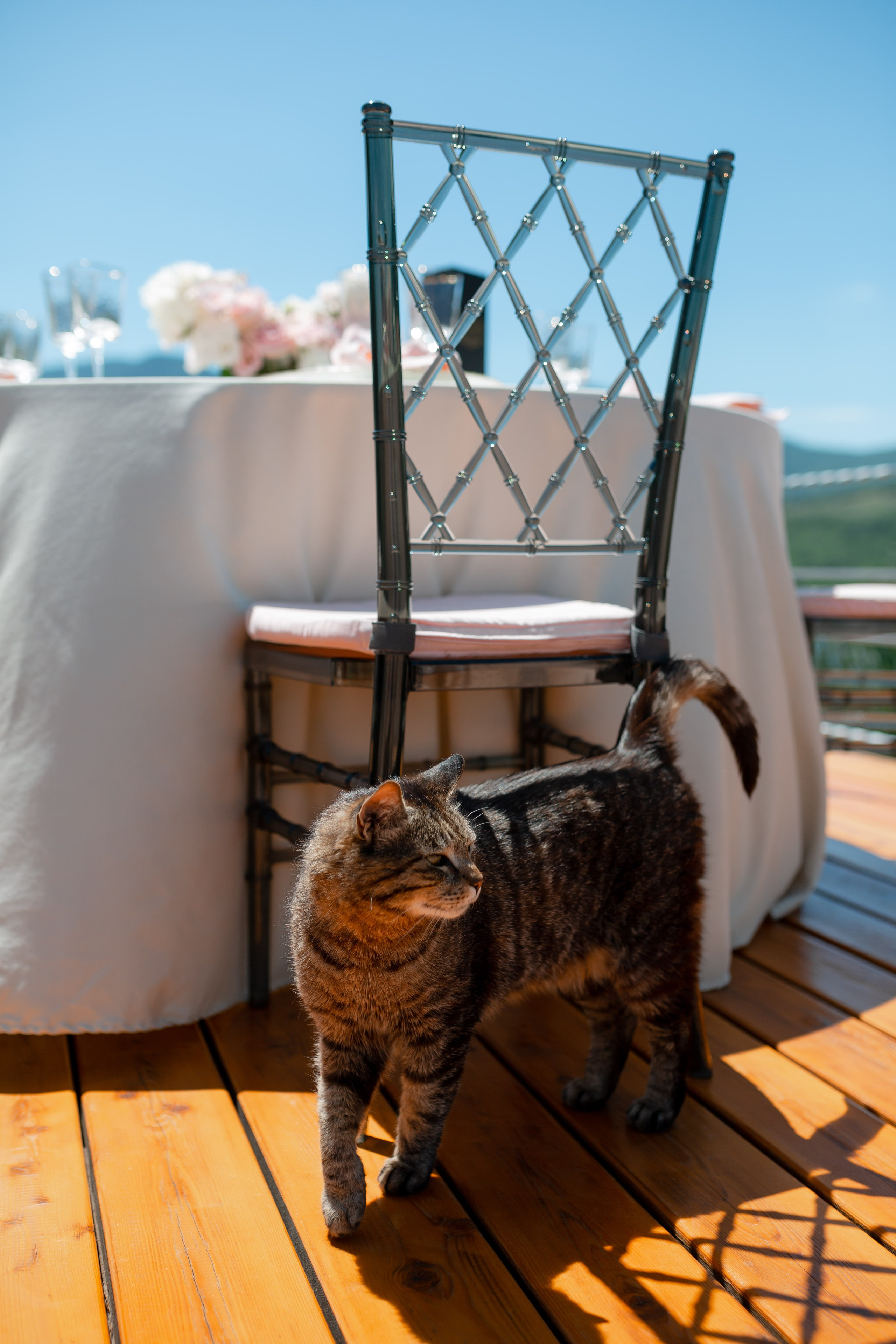 День рождения в Изобильном. Портретный фотограф в Симферополе Екатерина Аляпина