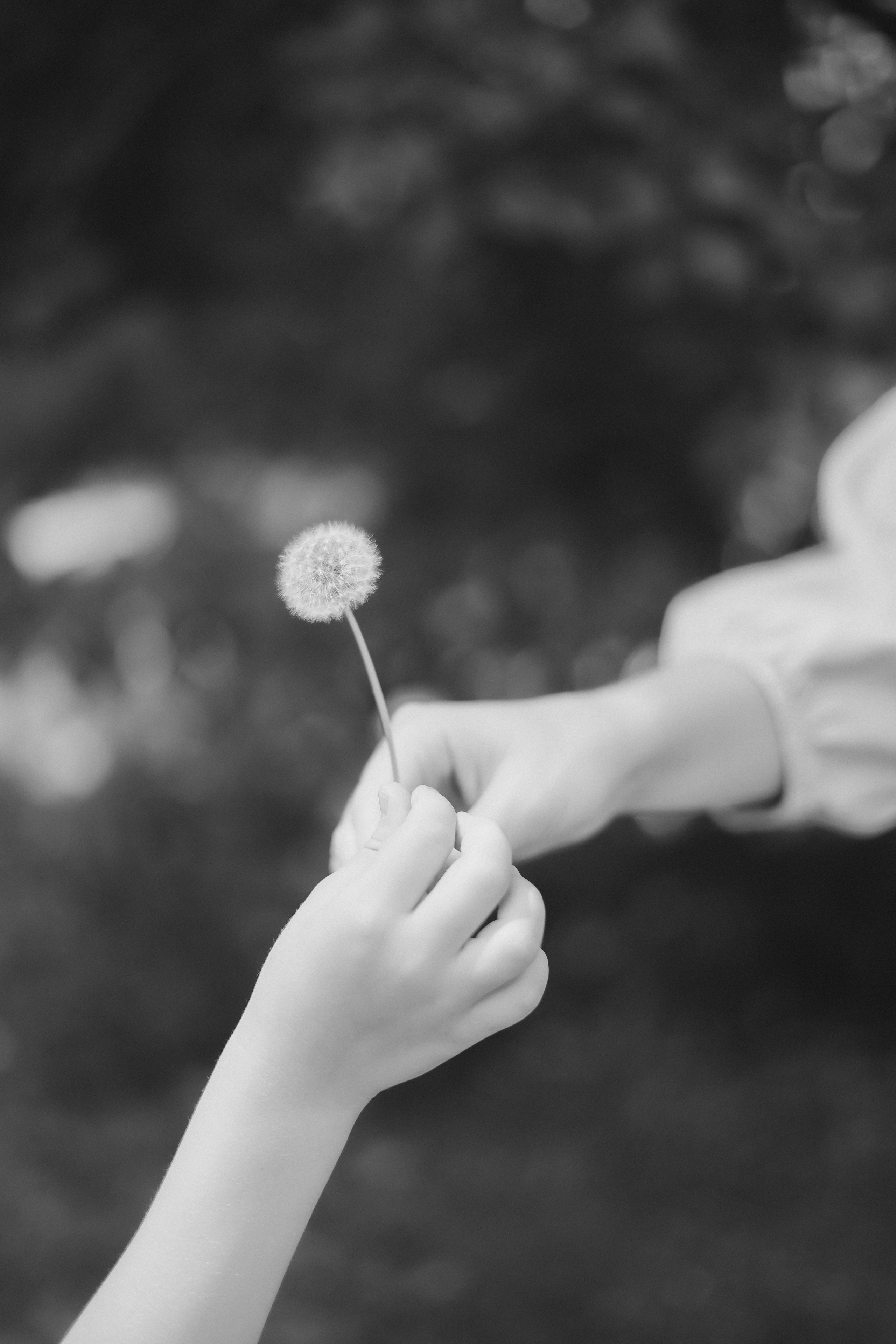 Катя и полина. Фотограф Валерия Крахмалева