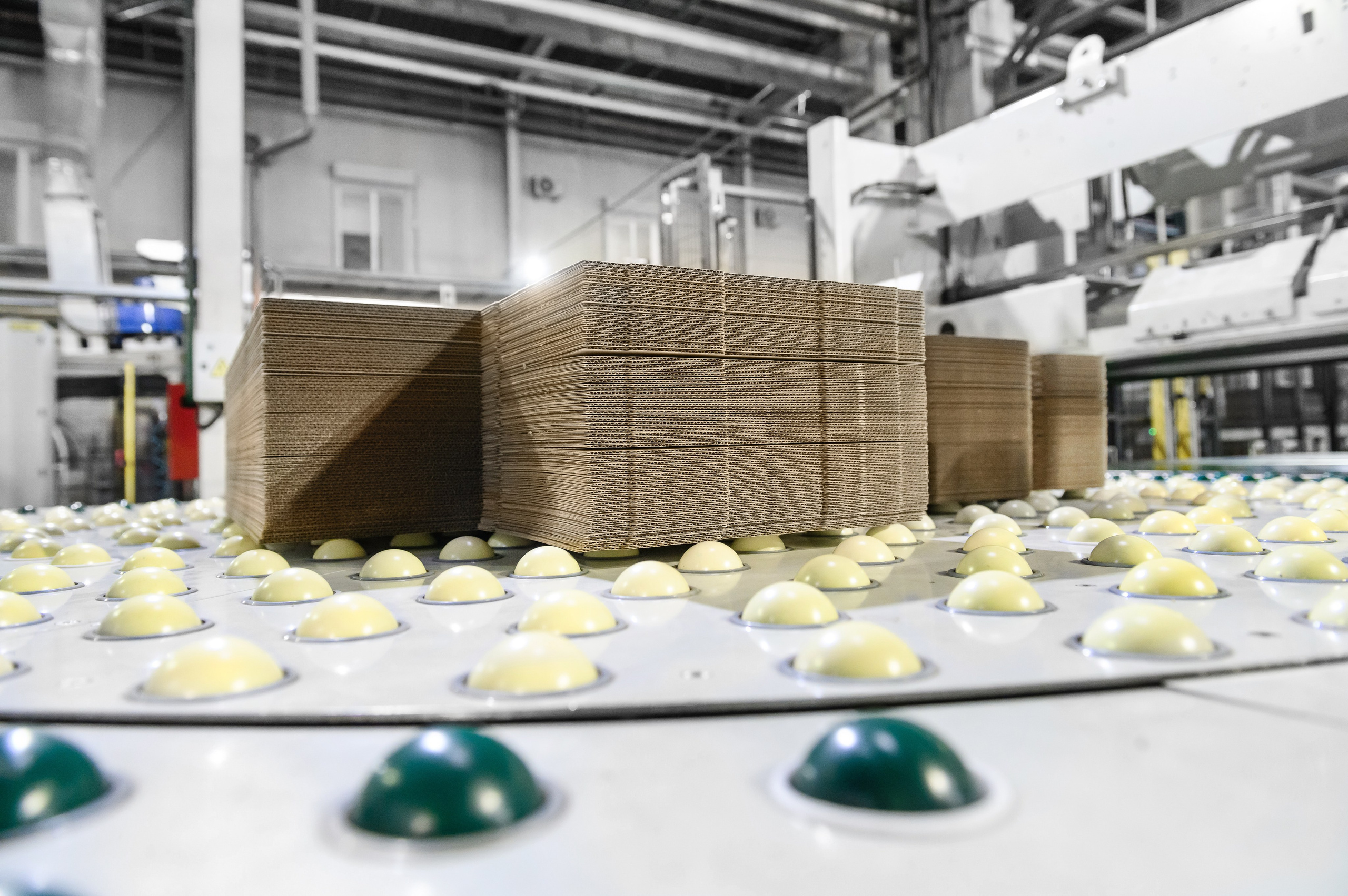 Проекты. Профессиональный фотограф Вячеслав Плацында | Липецк |