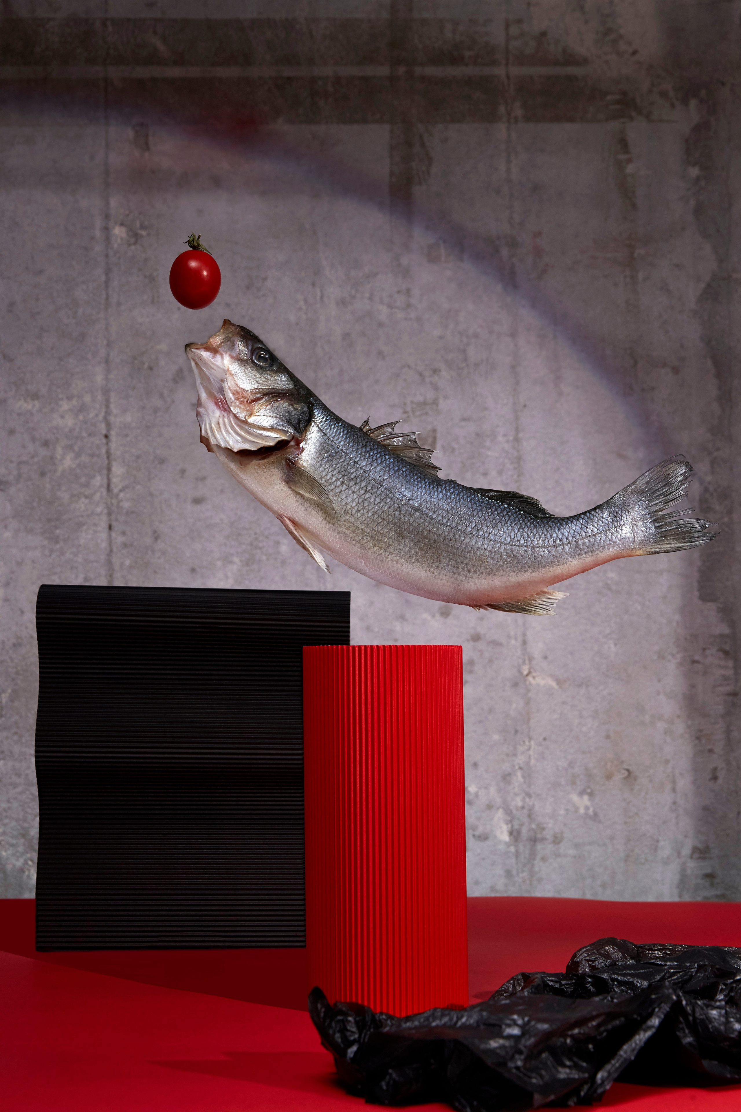 Personal stilllife project. Аксёнова Оля — сет-дизайнер, художник-постановщик, Москва