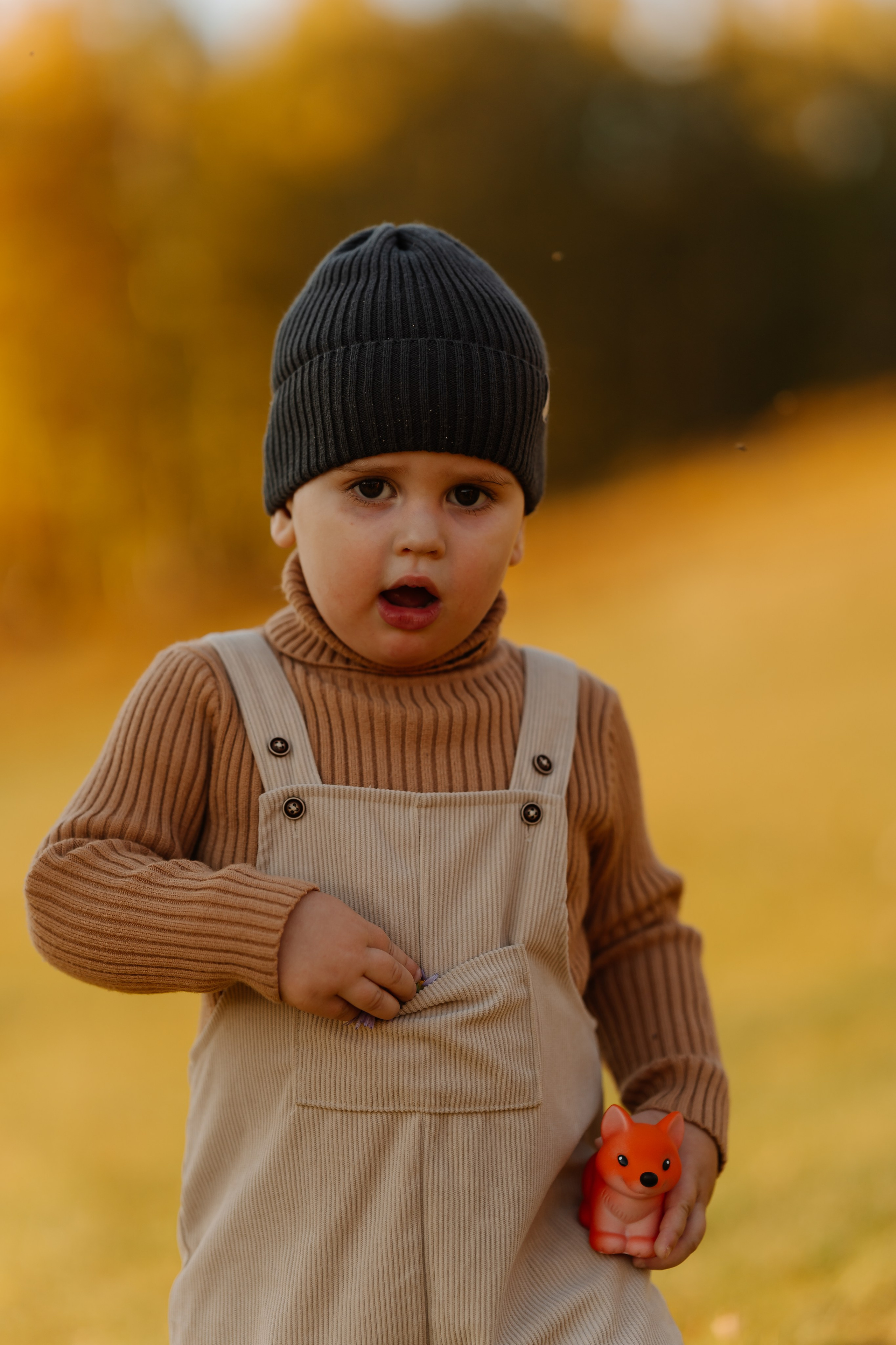 Андрей и Дарья. СВАДЕБНЫЙ ФОТОГРАФ КРАСНОЯРСК