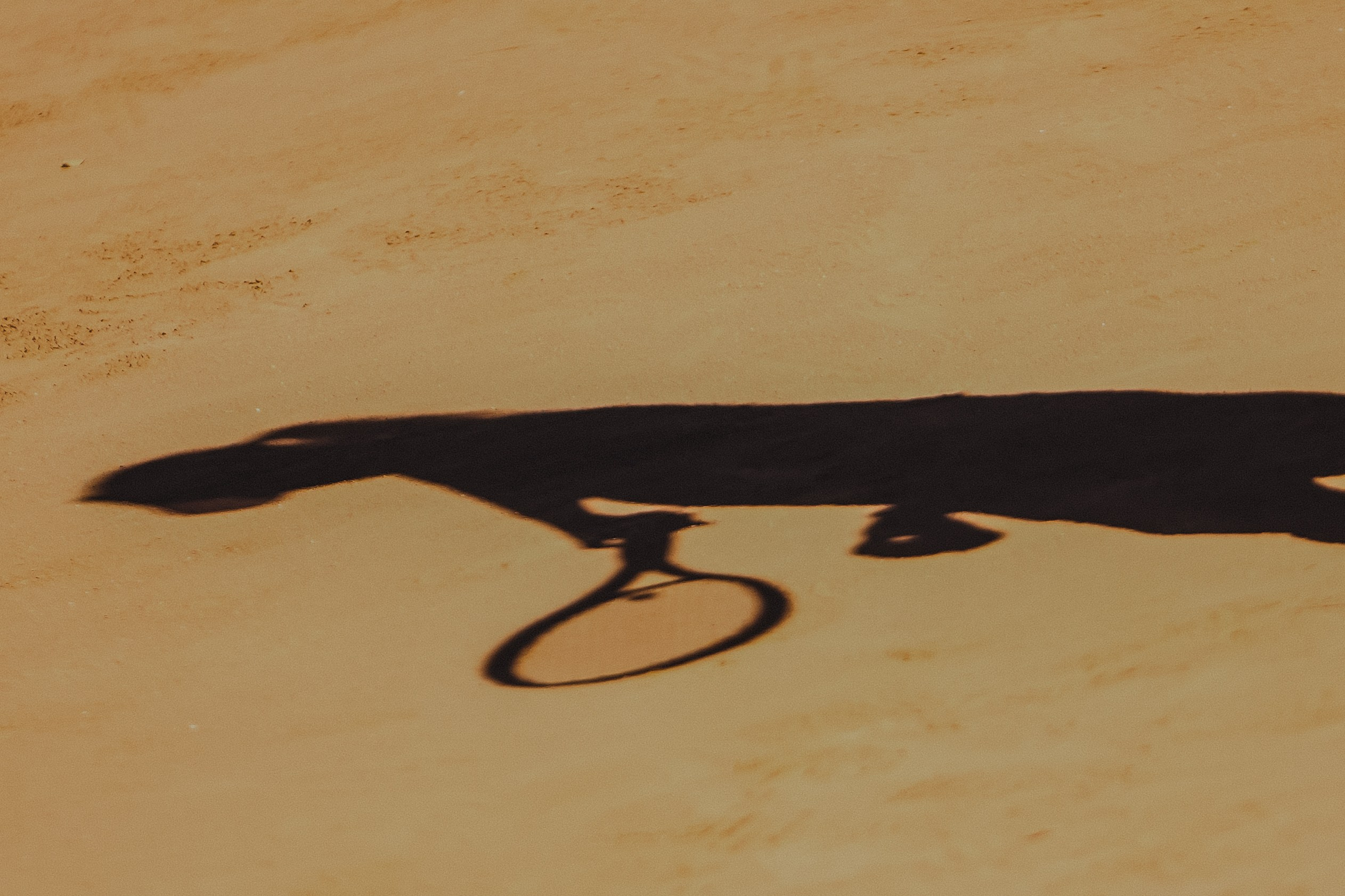 Tennis HB Party. Event фотограф Степанова Александра