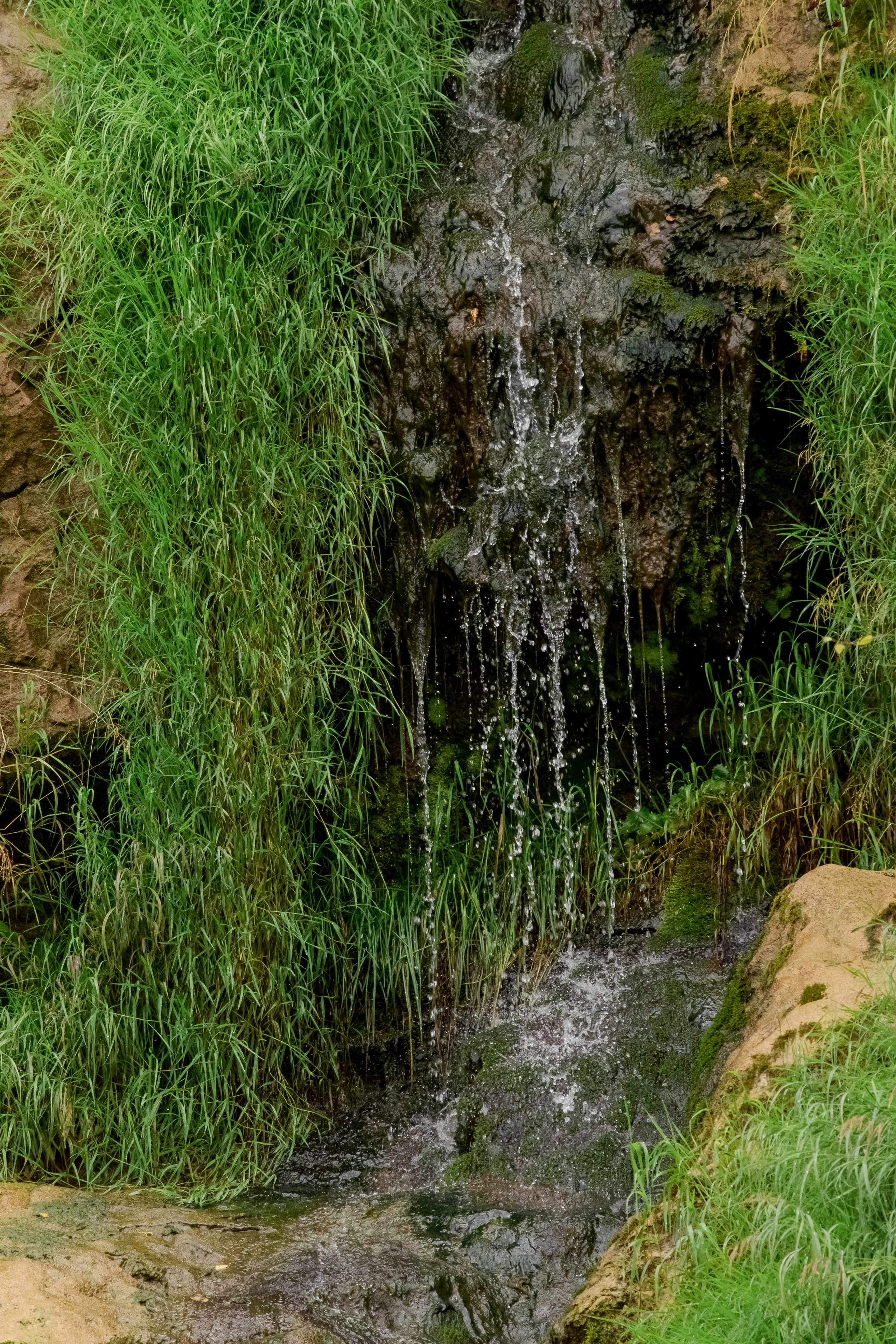 Фототур Кия. Фотограф Кирилл Мешков Кемерово