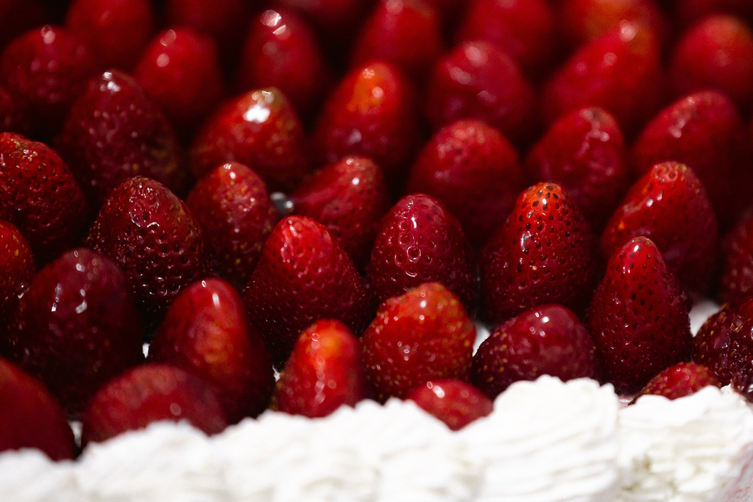 Игорь и Татьяна. Коммерческий фотограф в Тюмени Урванцев Борис