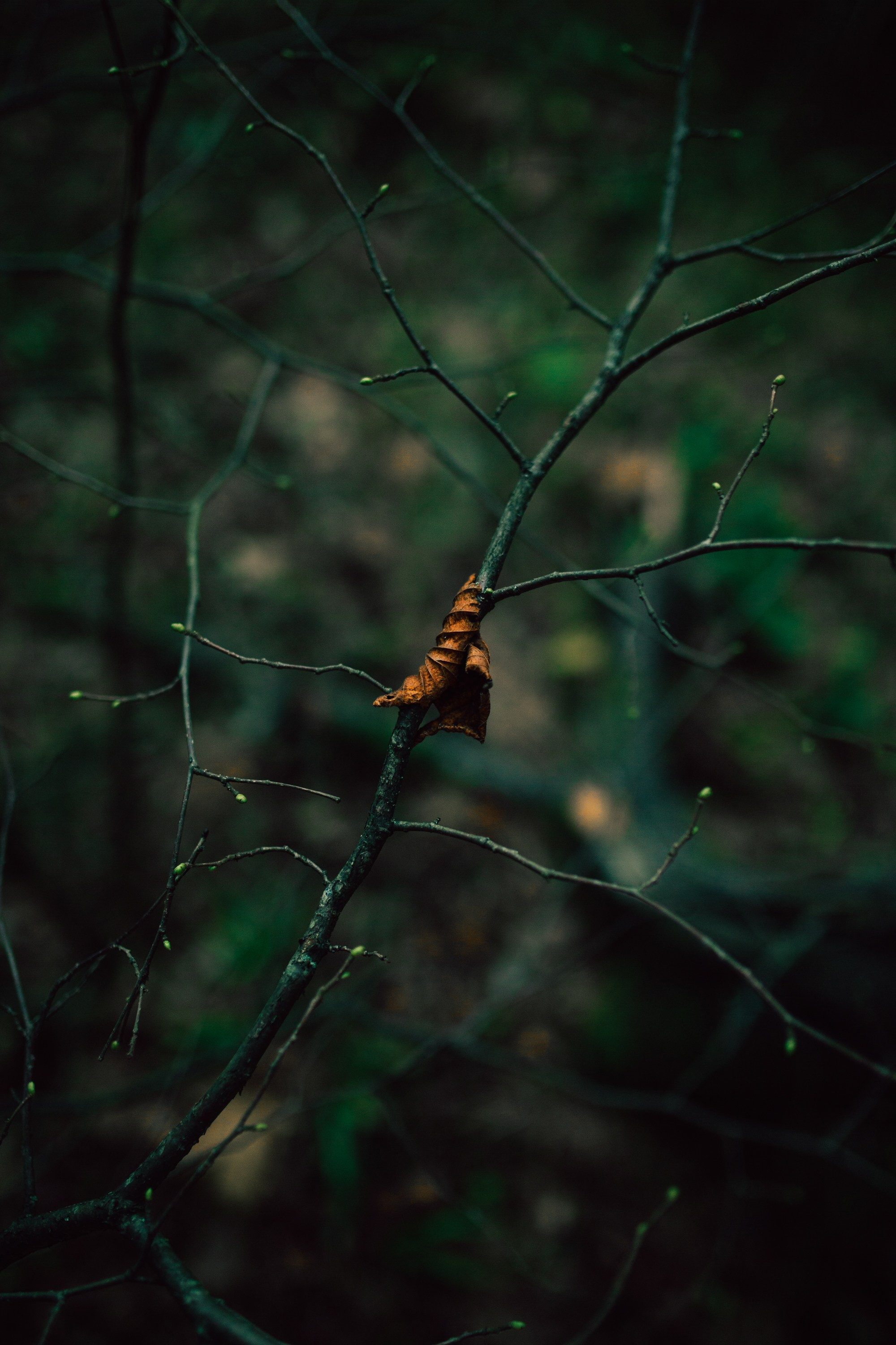 Как мы пошли за третьим. Фотограф Оля Батист