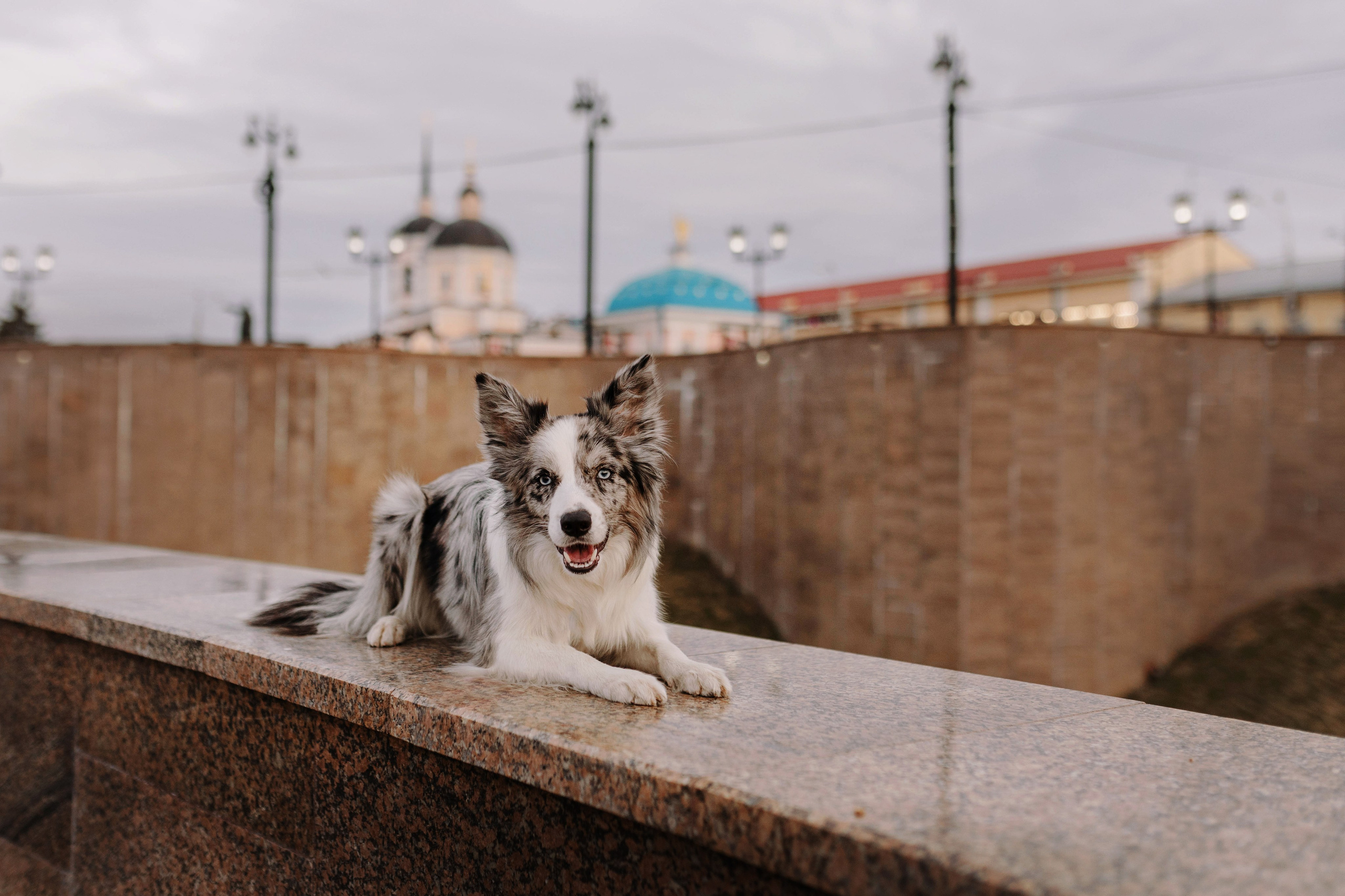 Томск / Катя и Юми. Фотограф Кузина Вера
