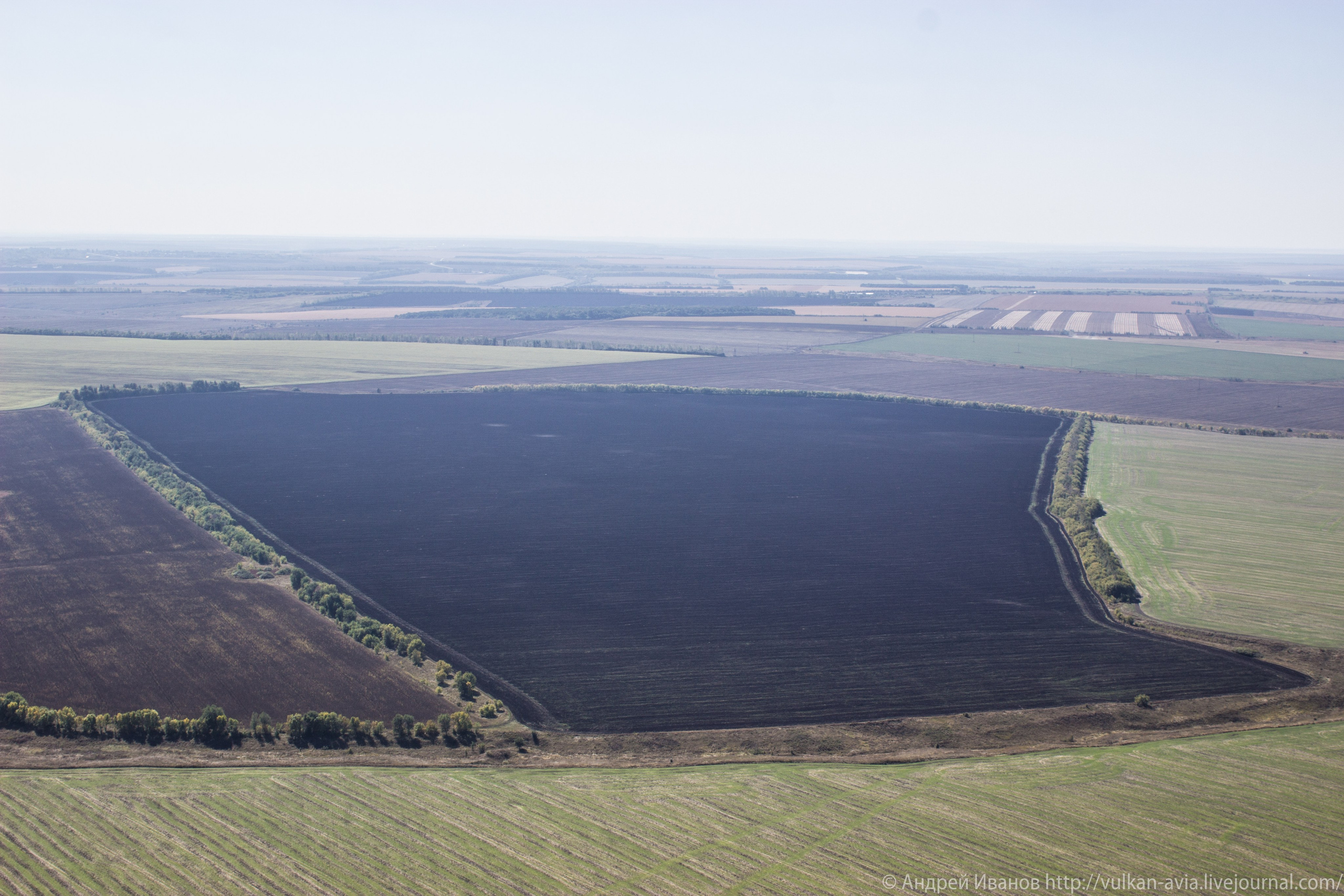 Волгодонск аэр. Потапов слёт «Небо для всех» (2021 г.). Фотоальбом показывающий увлекательный мир авиации и мир медведей Андрея Иванова