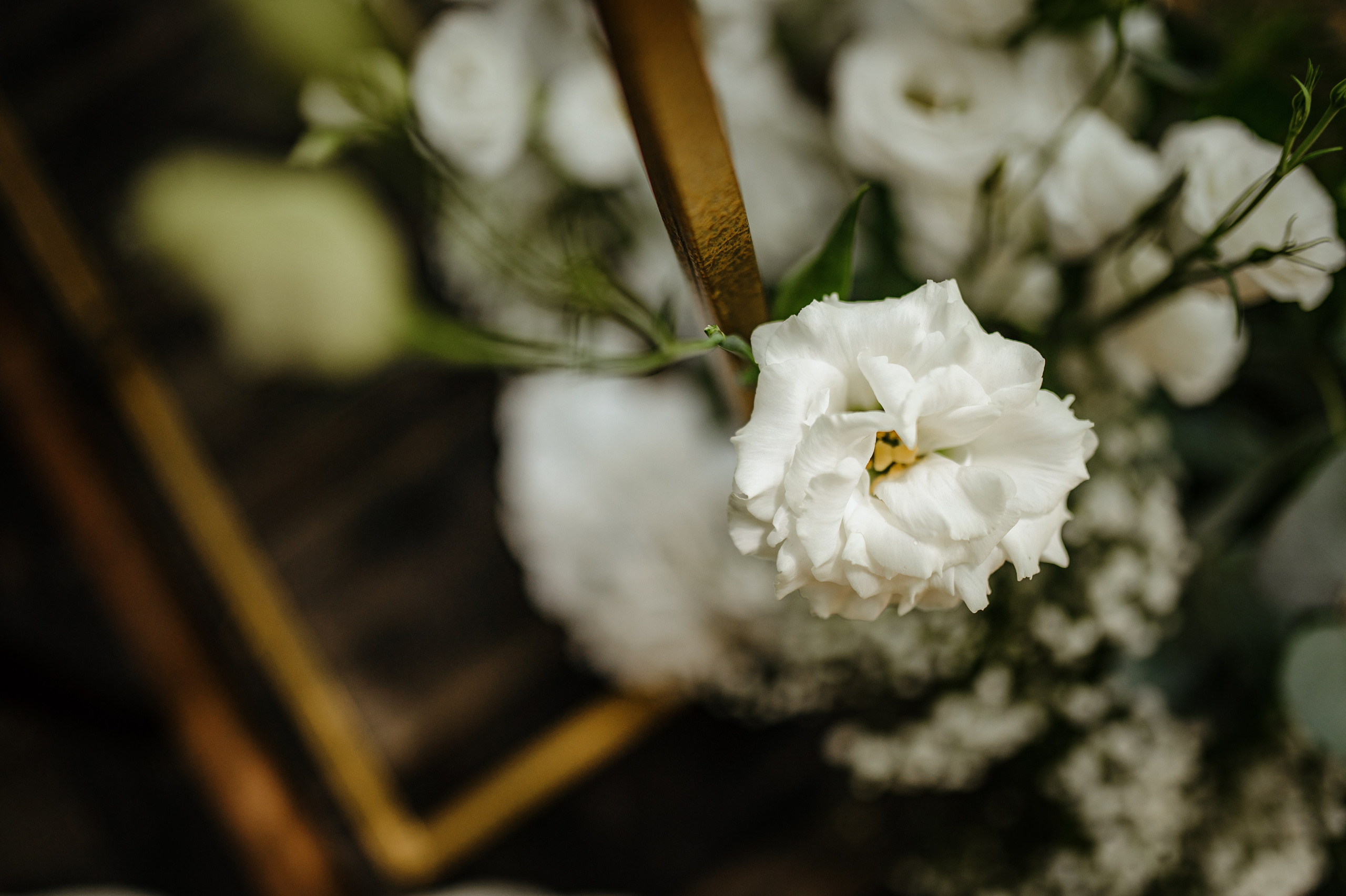 Съёмка свадебного декора. 100-й пруд. Свадебный фотограф Константинова Елена