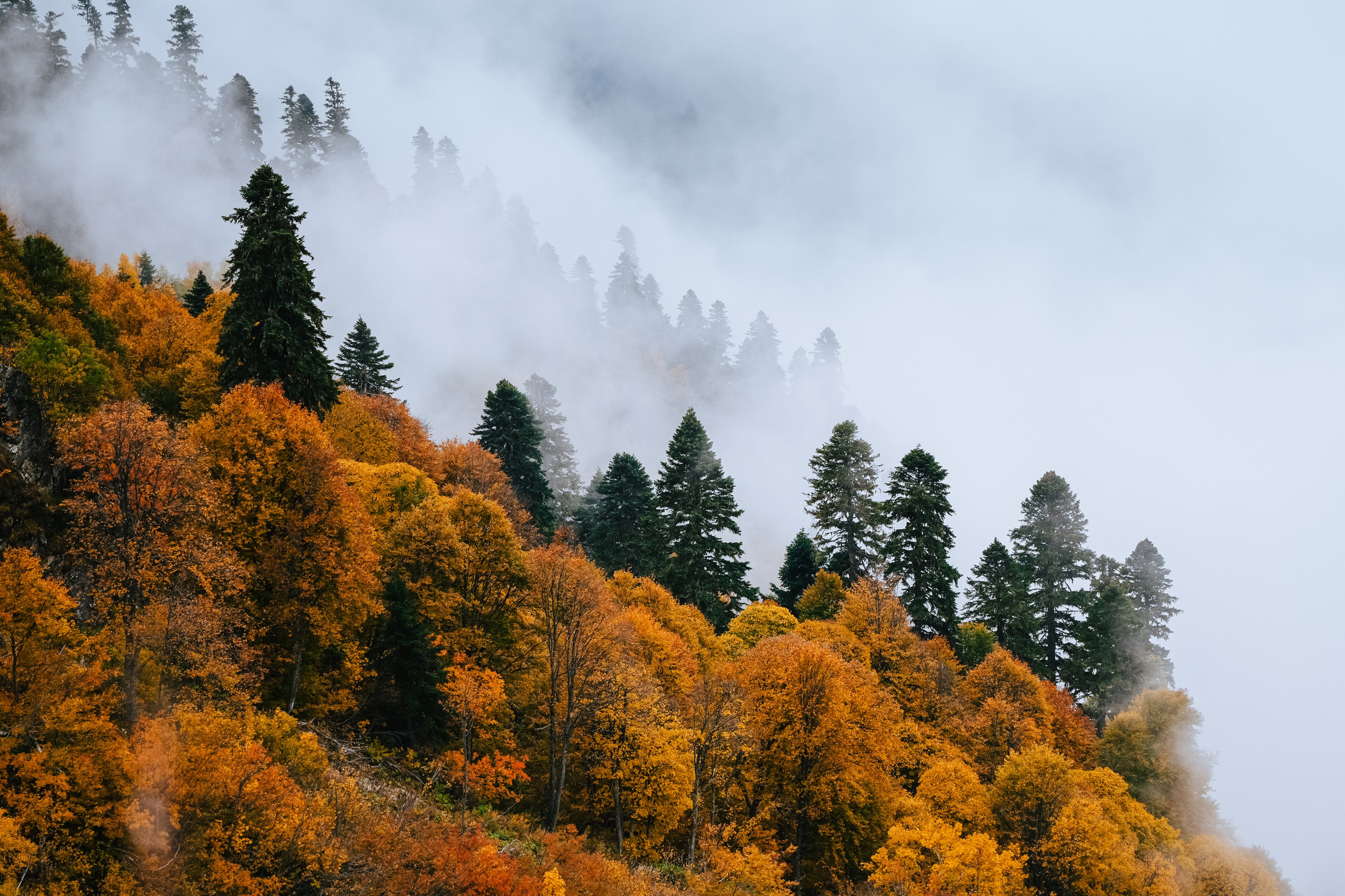 Роза Пик, тропа Турья ✽ Октябрь. Репортажный фотограф | Роза Хутор Красная Поляна Сочи Сириус