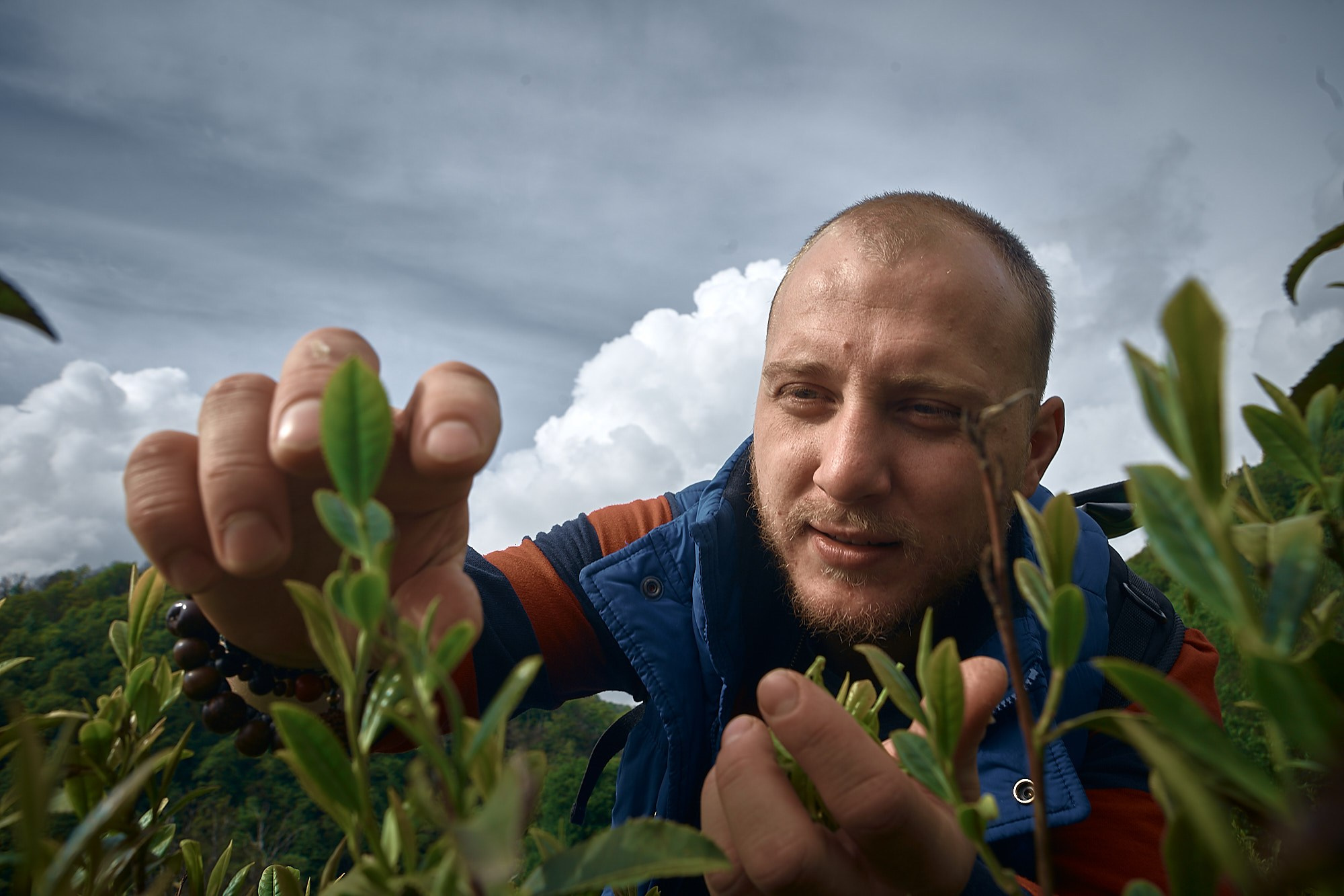 Краснодарский чай. Фотограф и оператор мероприятий, концертов и портретов в городе Москва