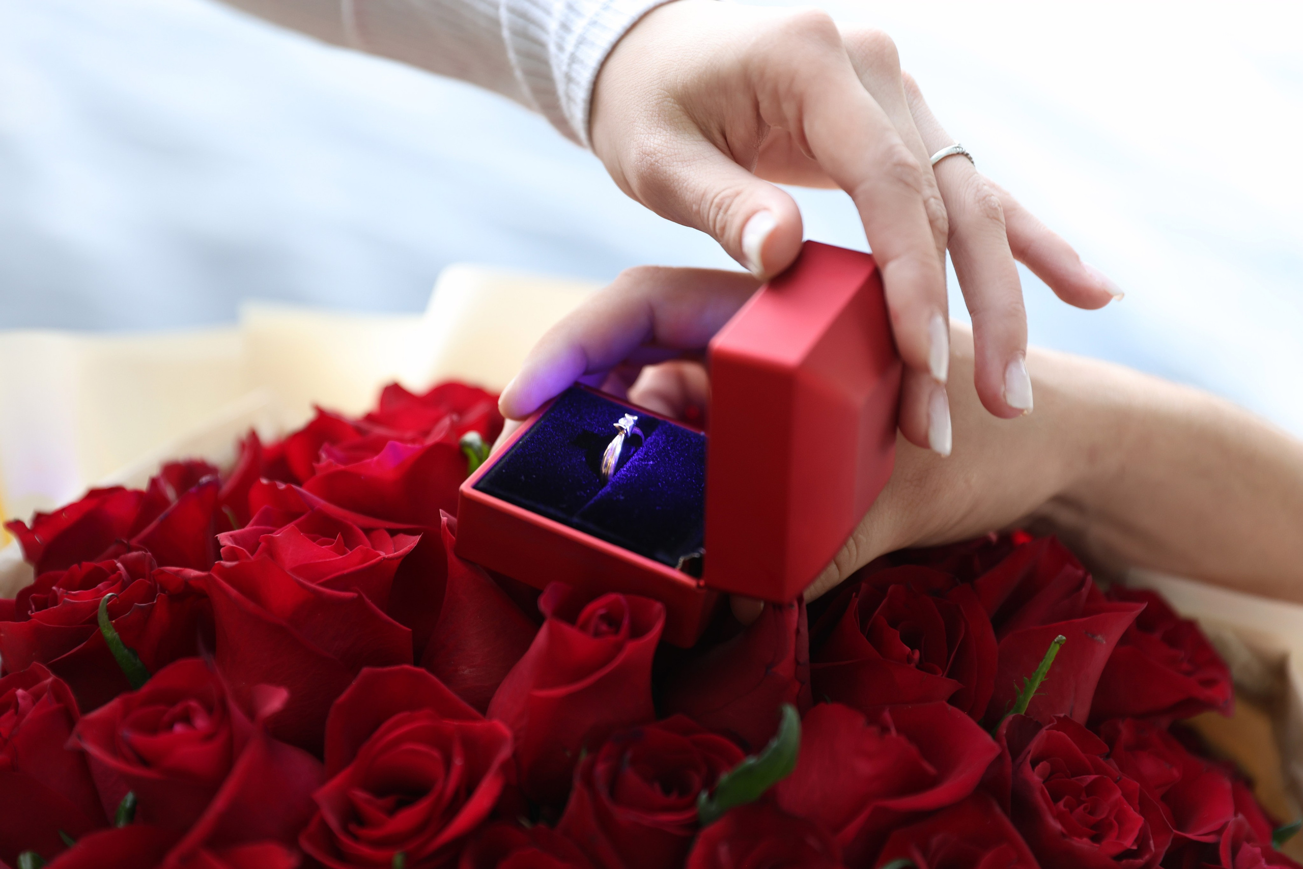 Предложение. Парк Щербакова. Яна Чхан — Фотограф в Донецке и не только