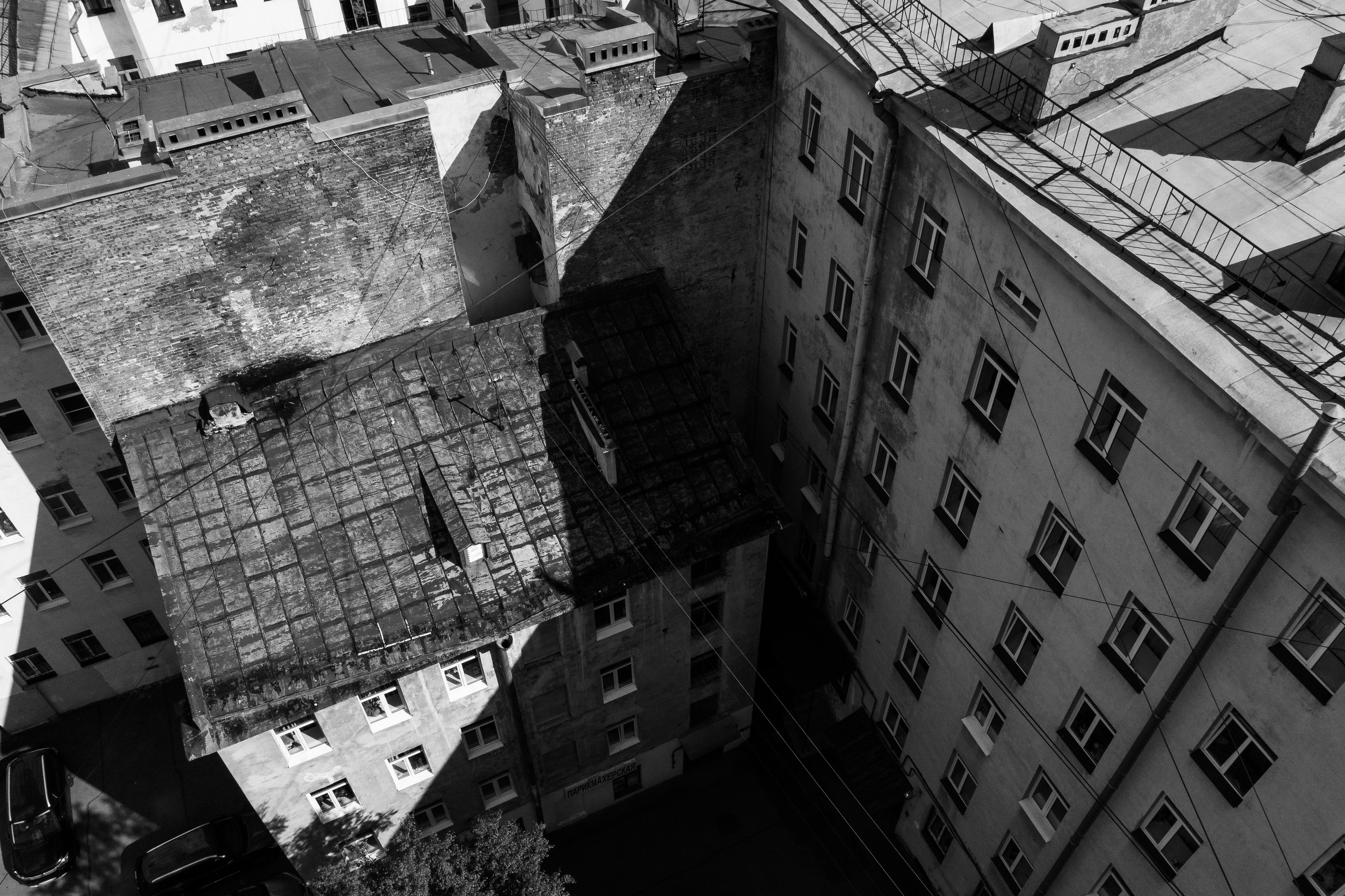 Проект Крыши Васильевского острова для УК МИР. Портретный фотограф Санкт-Петербург и Москва Дарья Румянцева