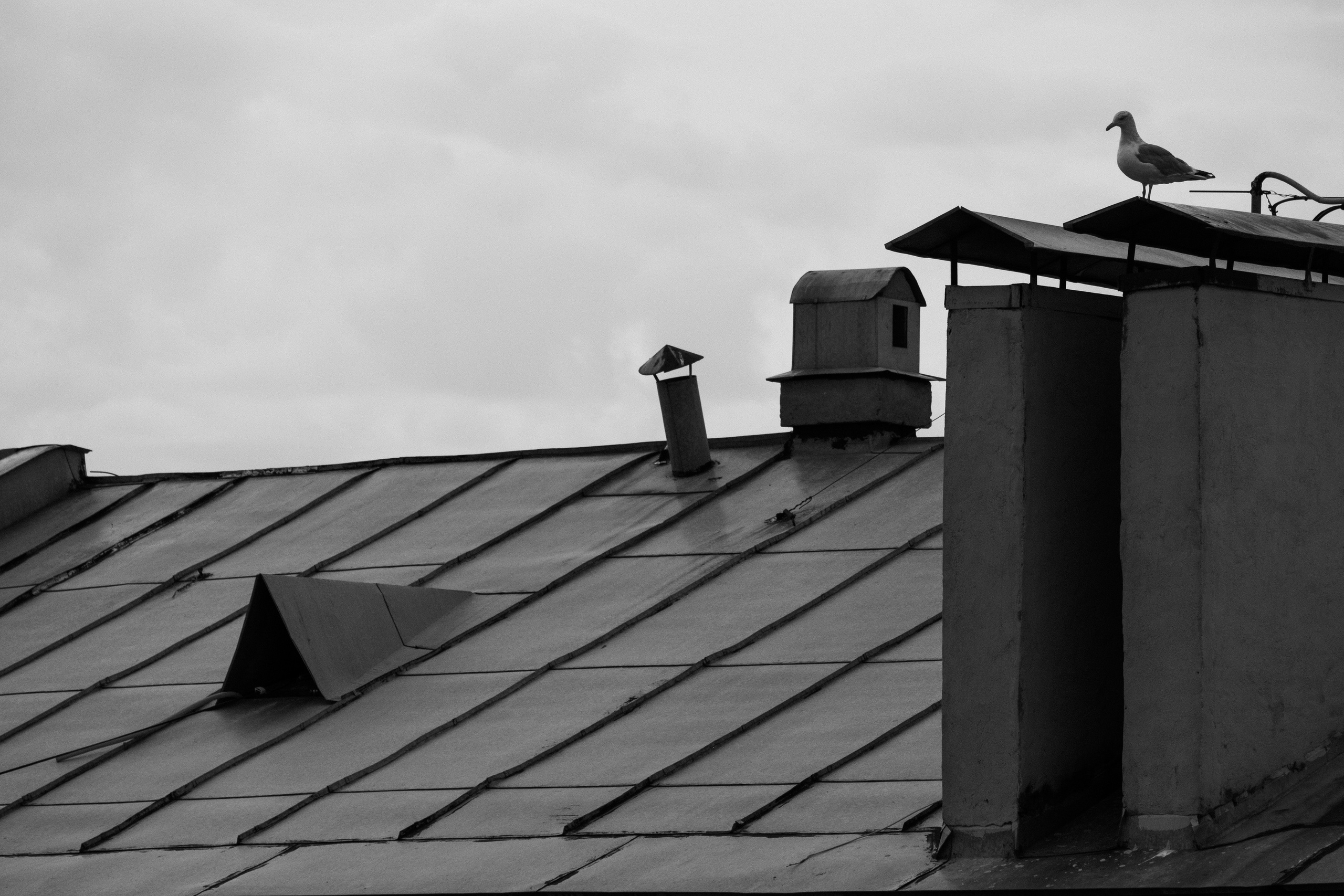 Проект Крыши Васильевского острова для УК МИР. Портретный фотограф Санкт-Петербург и Москва Дарья Румянцева