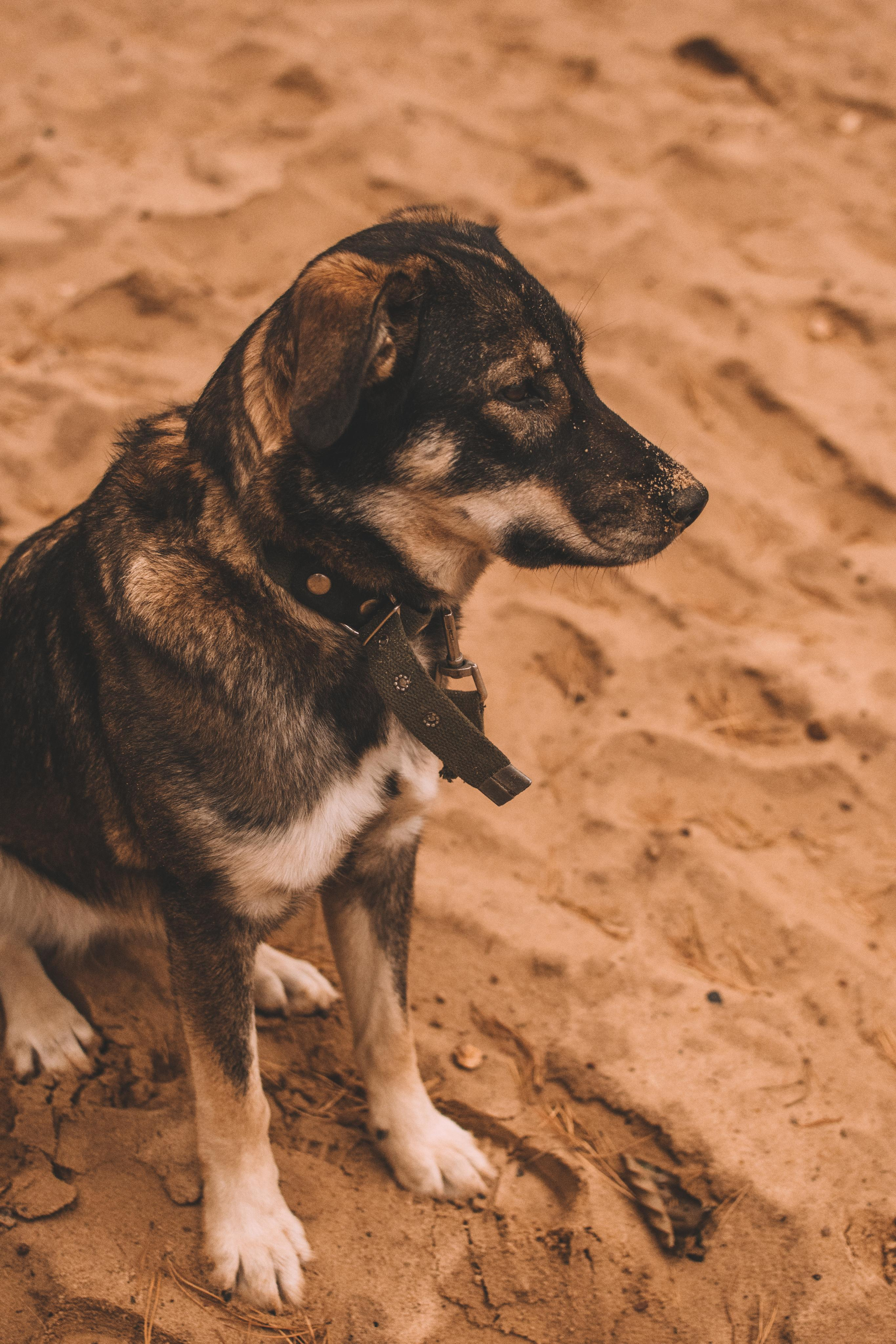 Мила. Фотограф Кристина Пархоменко