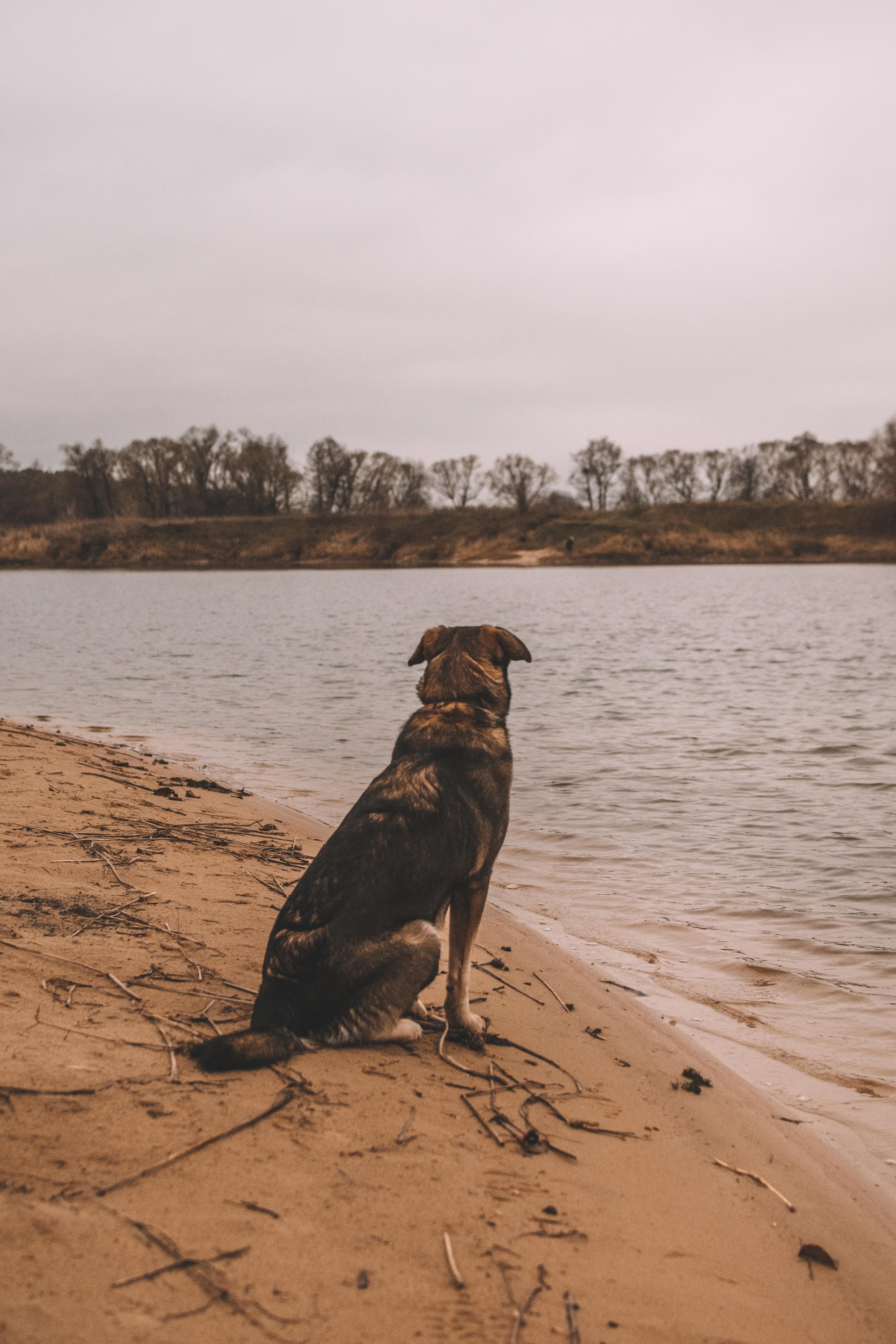 Мила. Фотограф Кристина Пархоменко