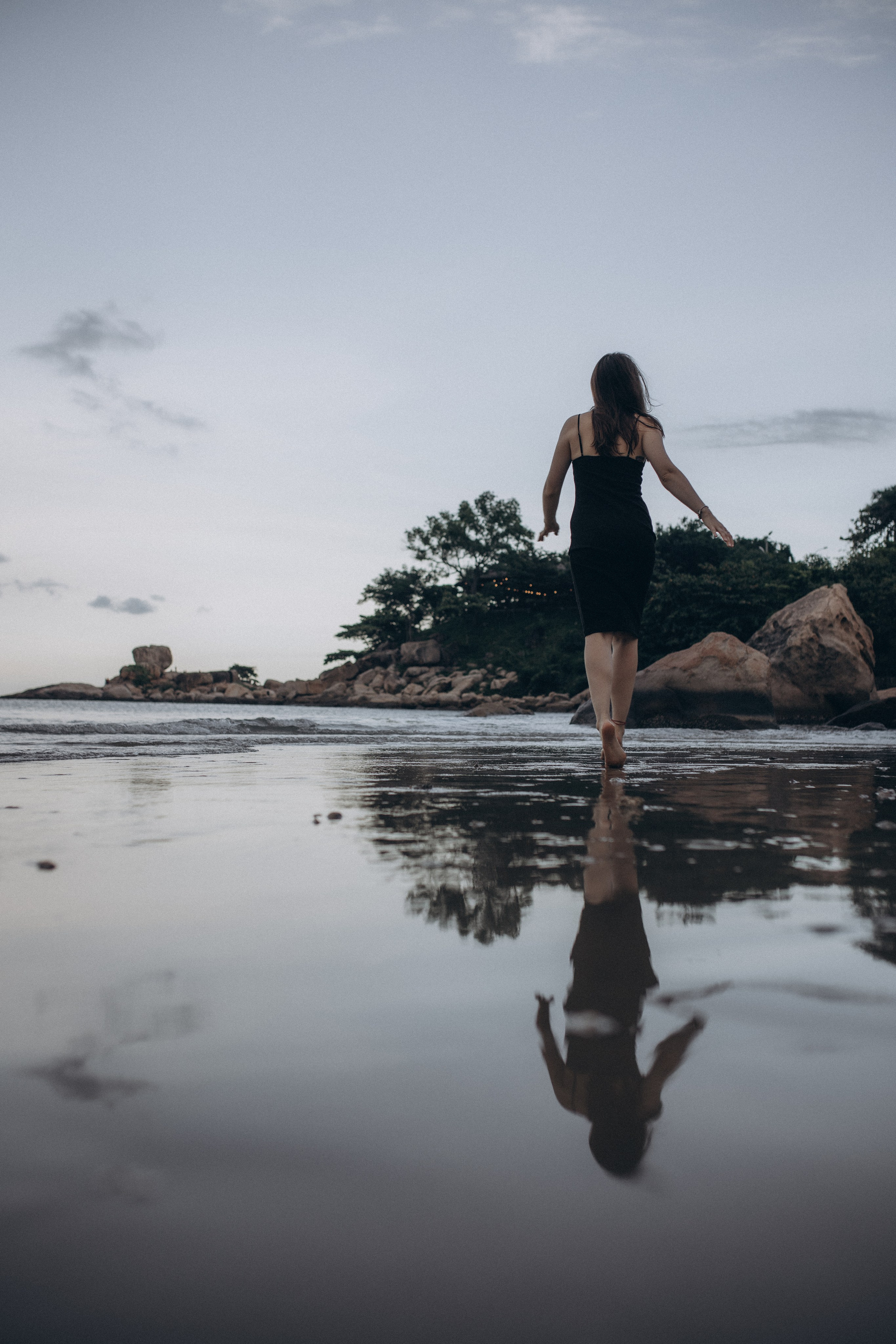 Лилия «сад камней» Вьетнам. Главная