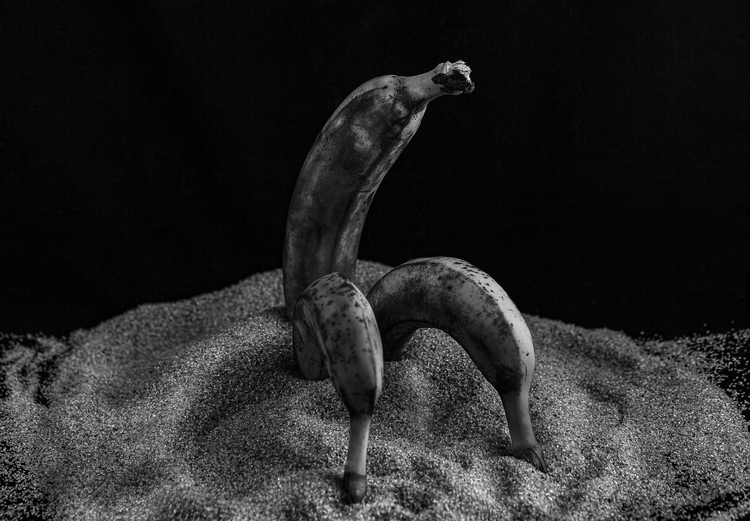 Красота тоже рядом с нами. Медиапродюсер, фотограф в Минеральных Водах —Виктор Холодов