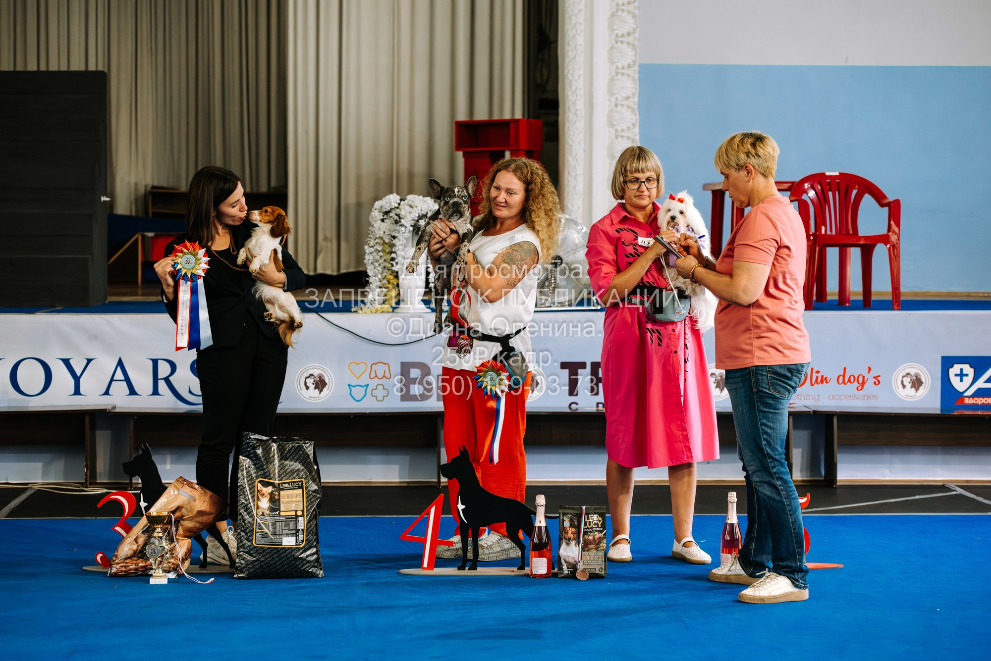 Национальная выставка собак всех пород ранга САС-IKU «Кубок Красноярск. Фотограф Диана Оленина Красноярск / Братск