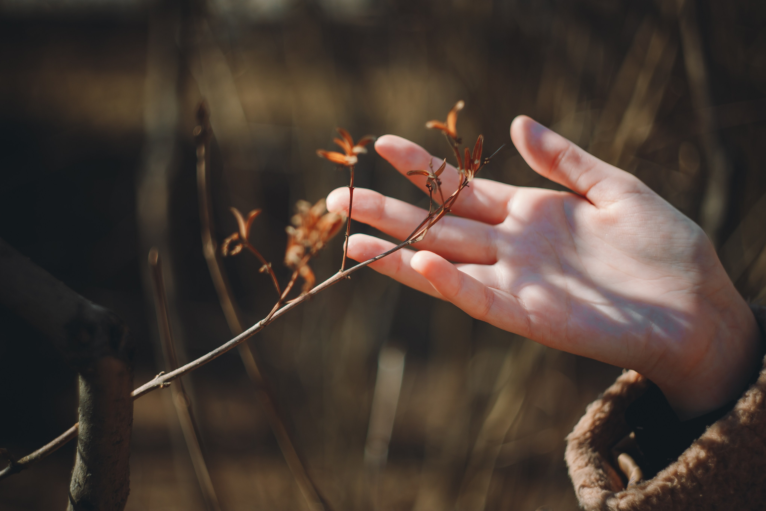 НХ. Фотограф в Абакане Николай Окунев