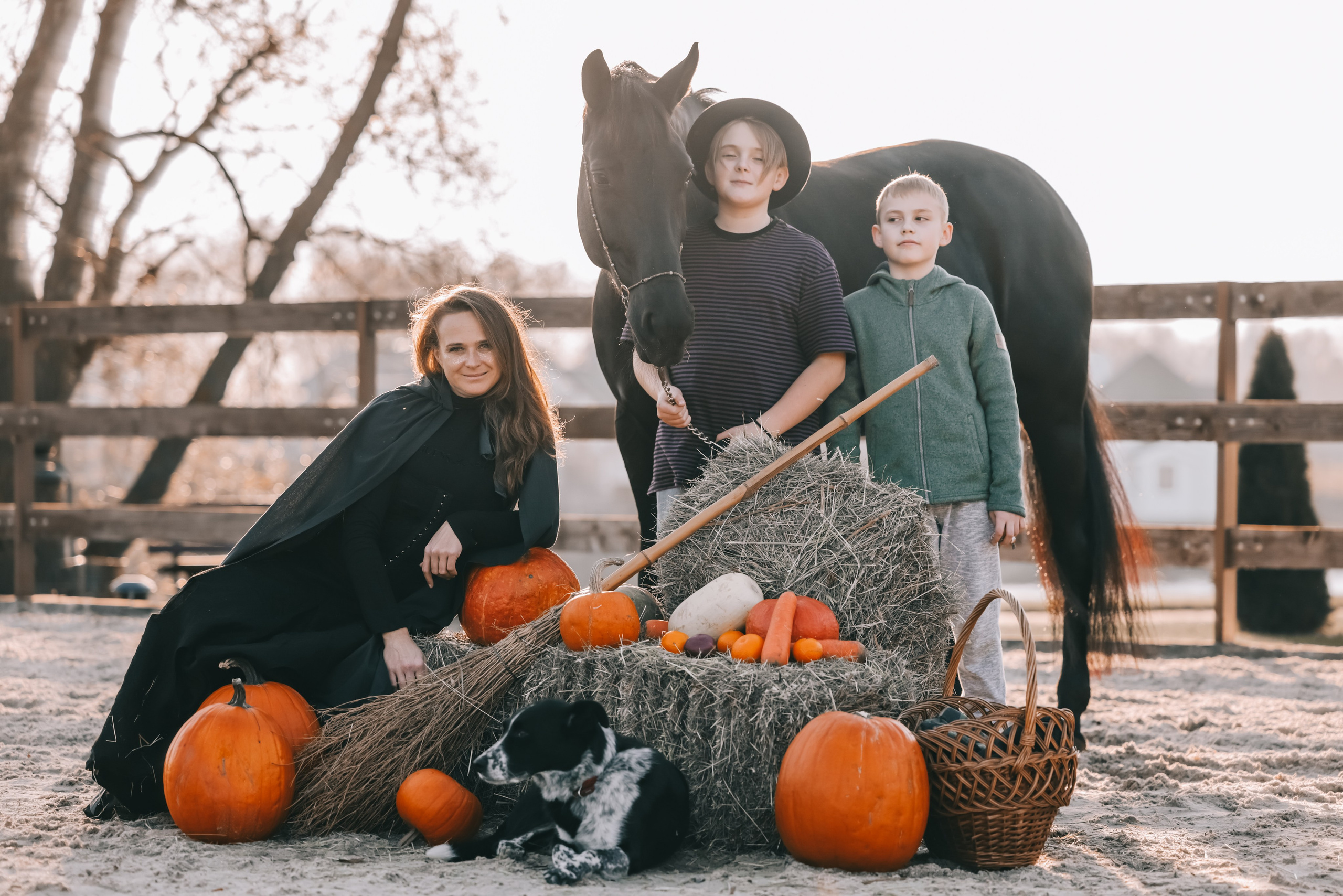 КСК Ждановское фотосессия. Фотосессии с лошадьми