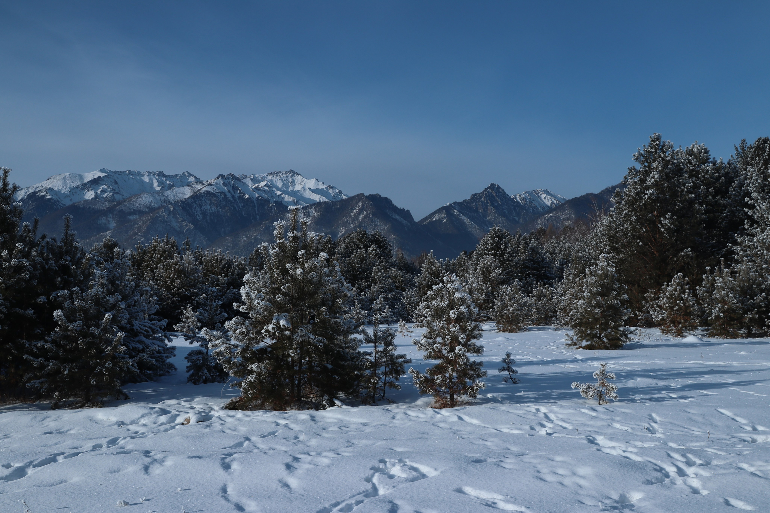 Аршан. Январь 2024. Путешественник-фотограф из Санкт-Петербурга Татьяна Свистулина